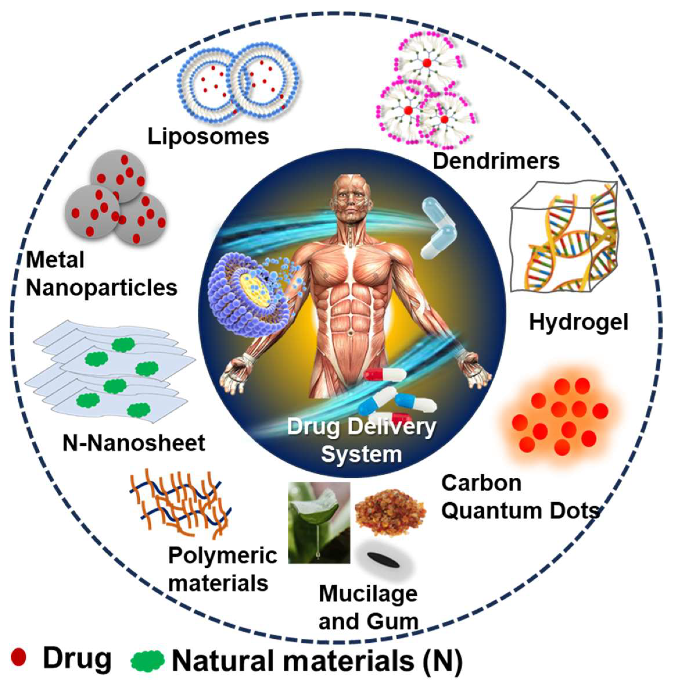 JFB | Free Full-Text | Drug Delivery Application of Functional