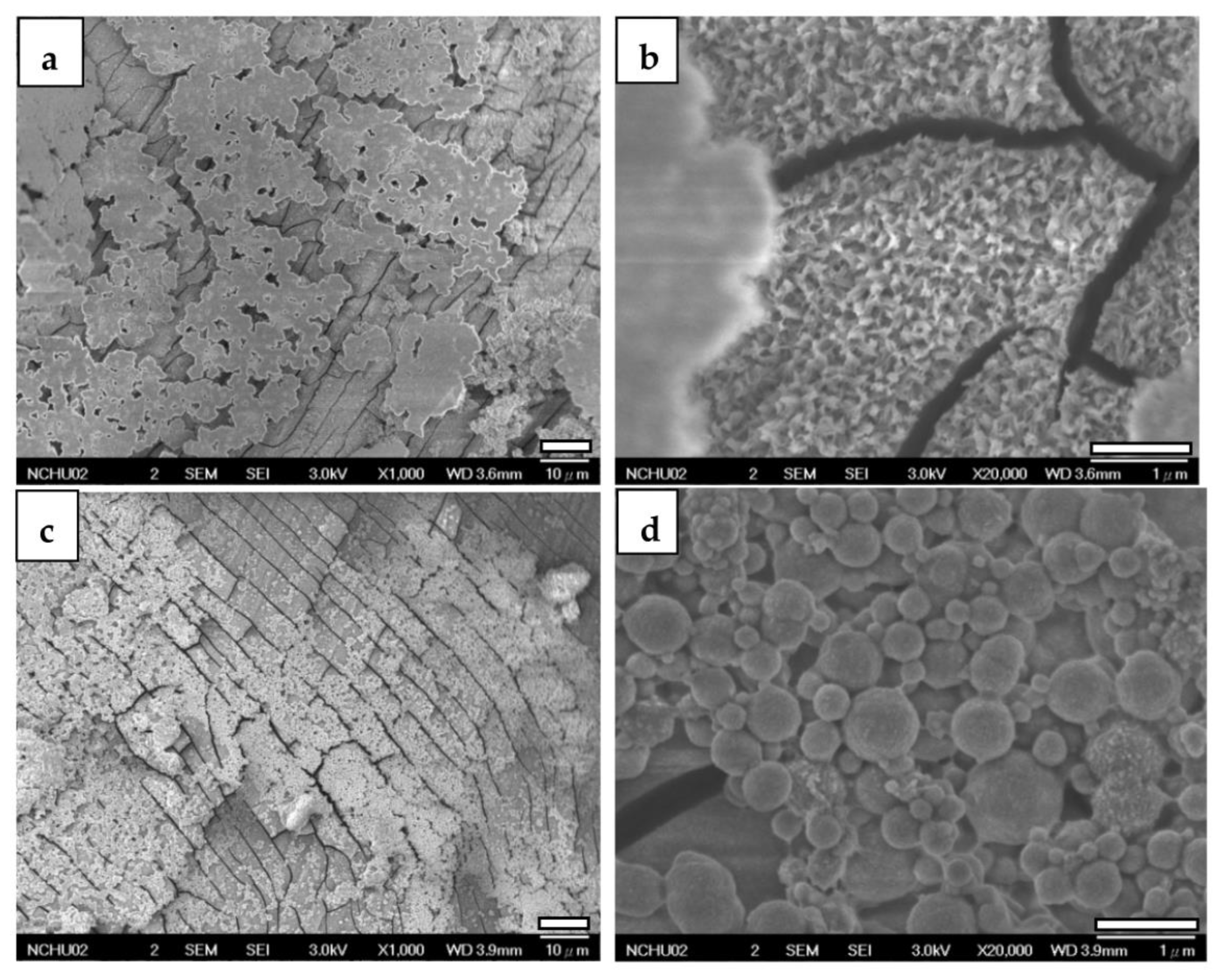 Jfb 14 00519 g010 Jfb 14 00519 g010