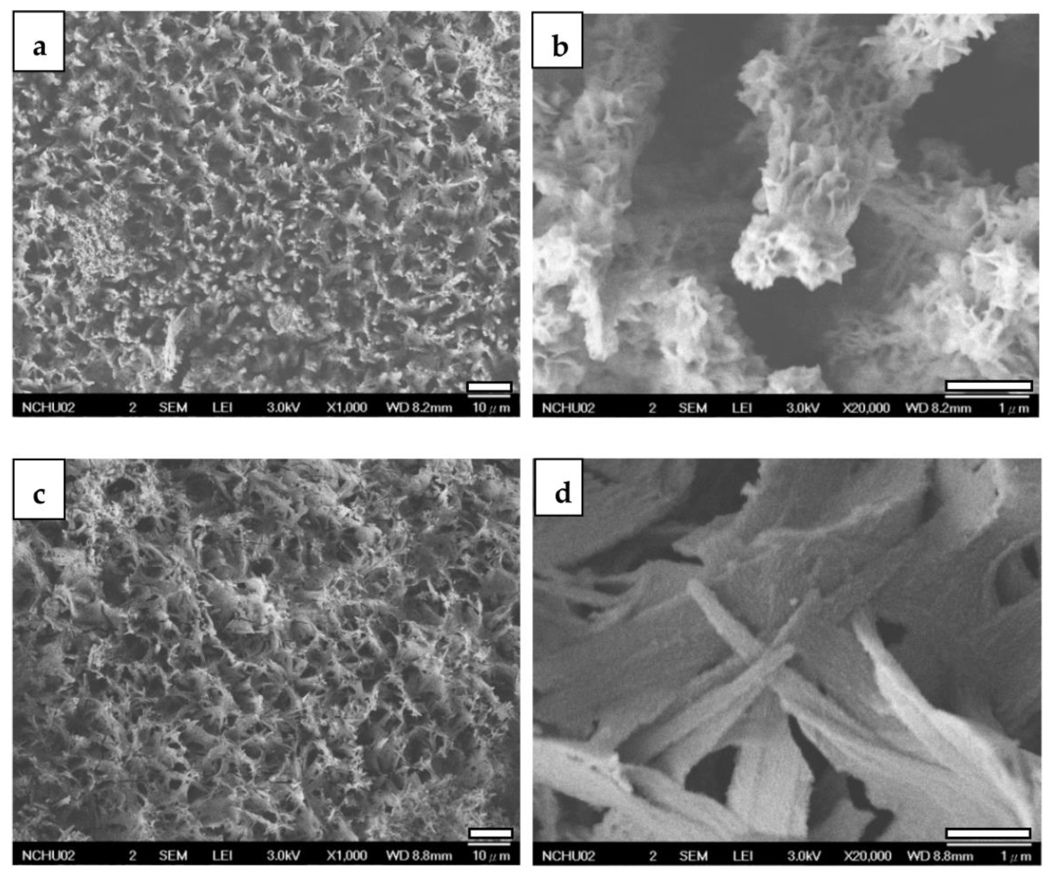 Jfb 14 00519 g012 Jfb 14 00519 g012