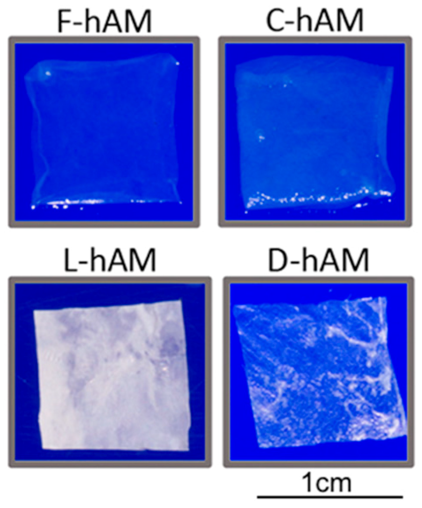 Jfb 14 00531 g003 Jfb 14 00531 g003