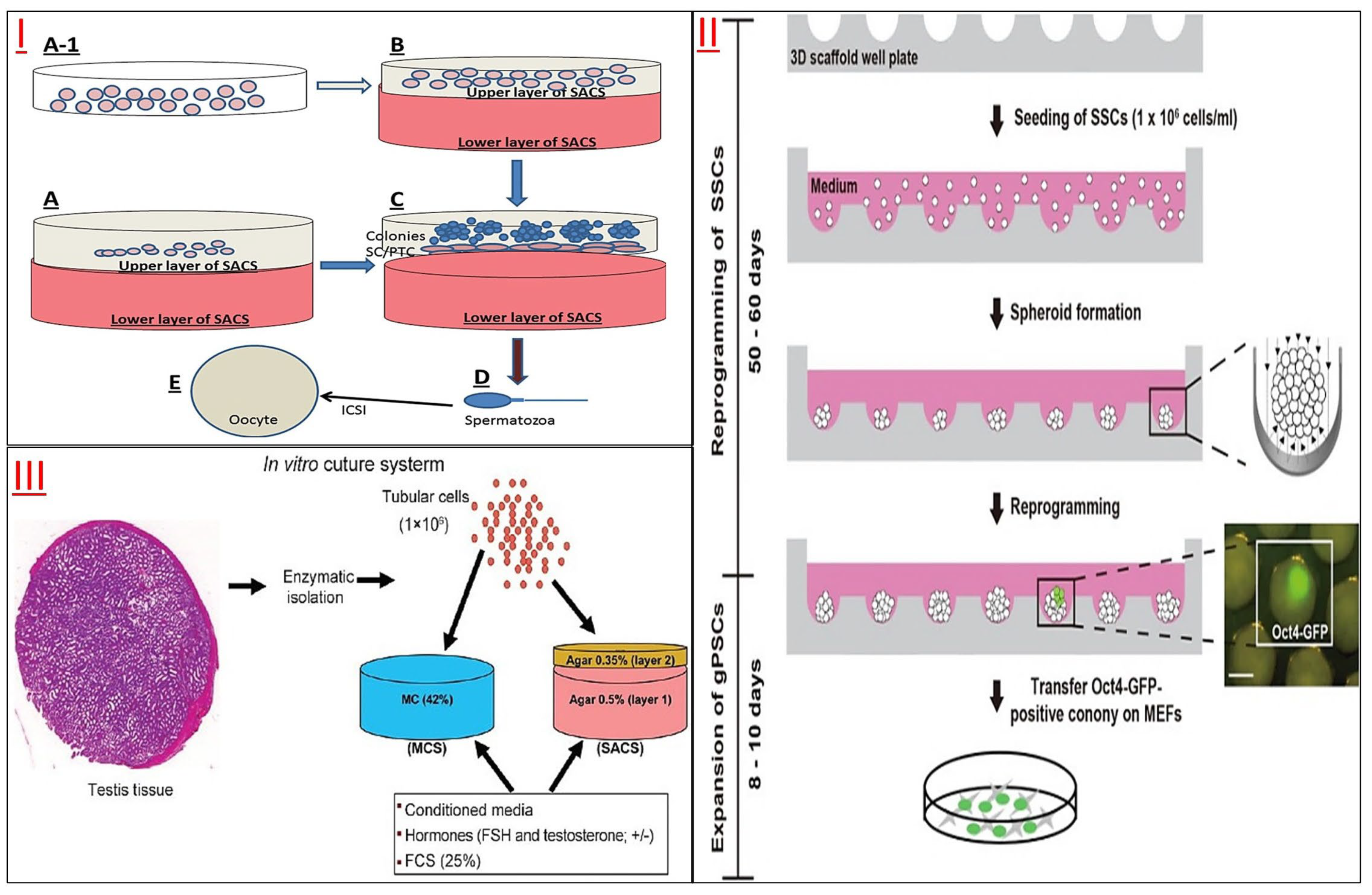 A review of current trends in three-dimensional analysis of left