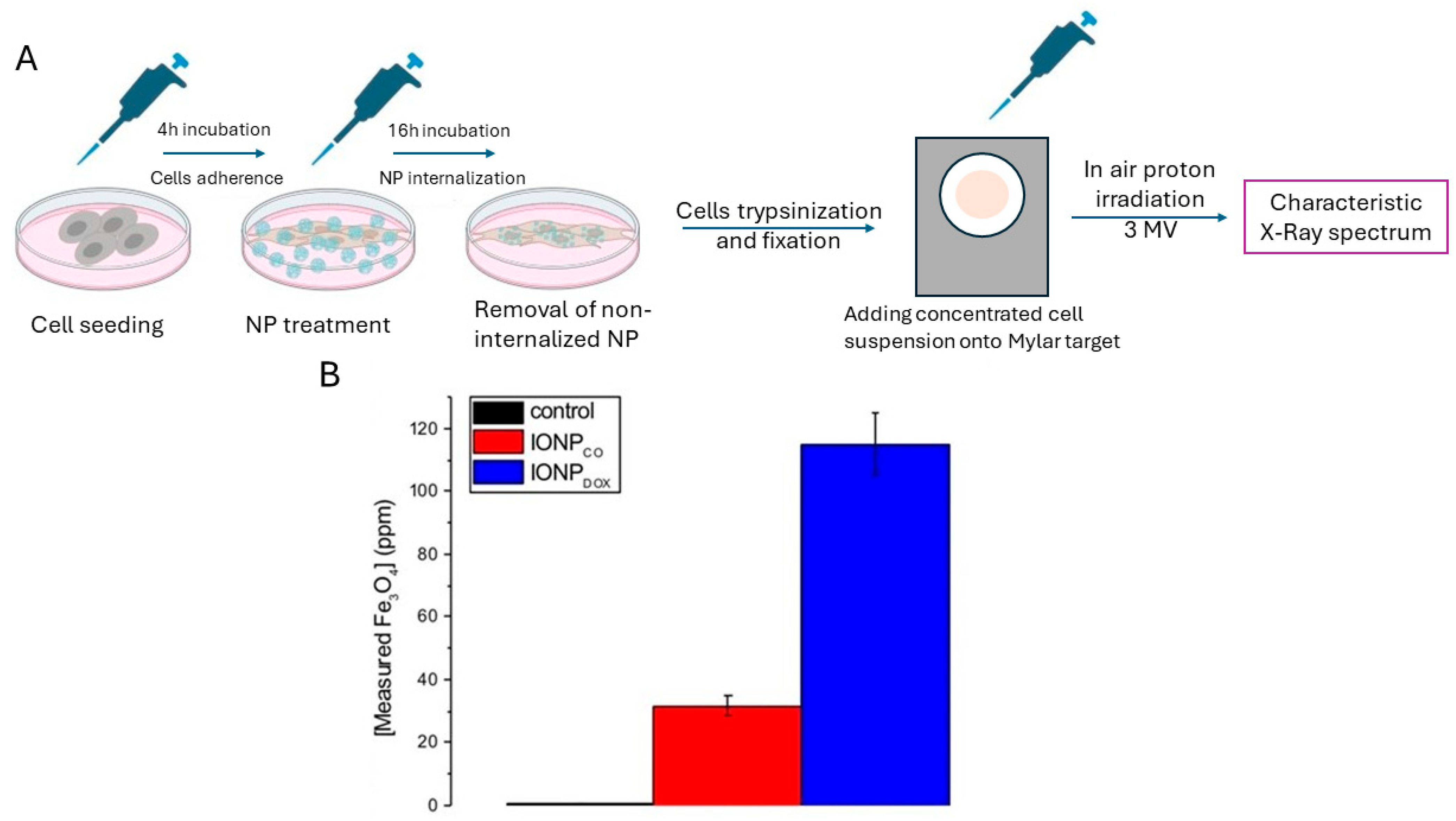 JFB | Free Full-Text | Unveiling Nanoparticles: Recent Approaches in ...