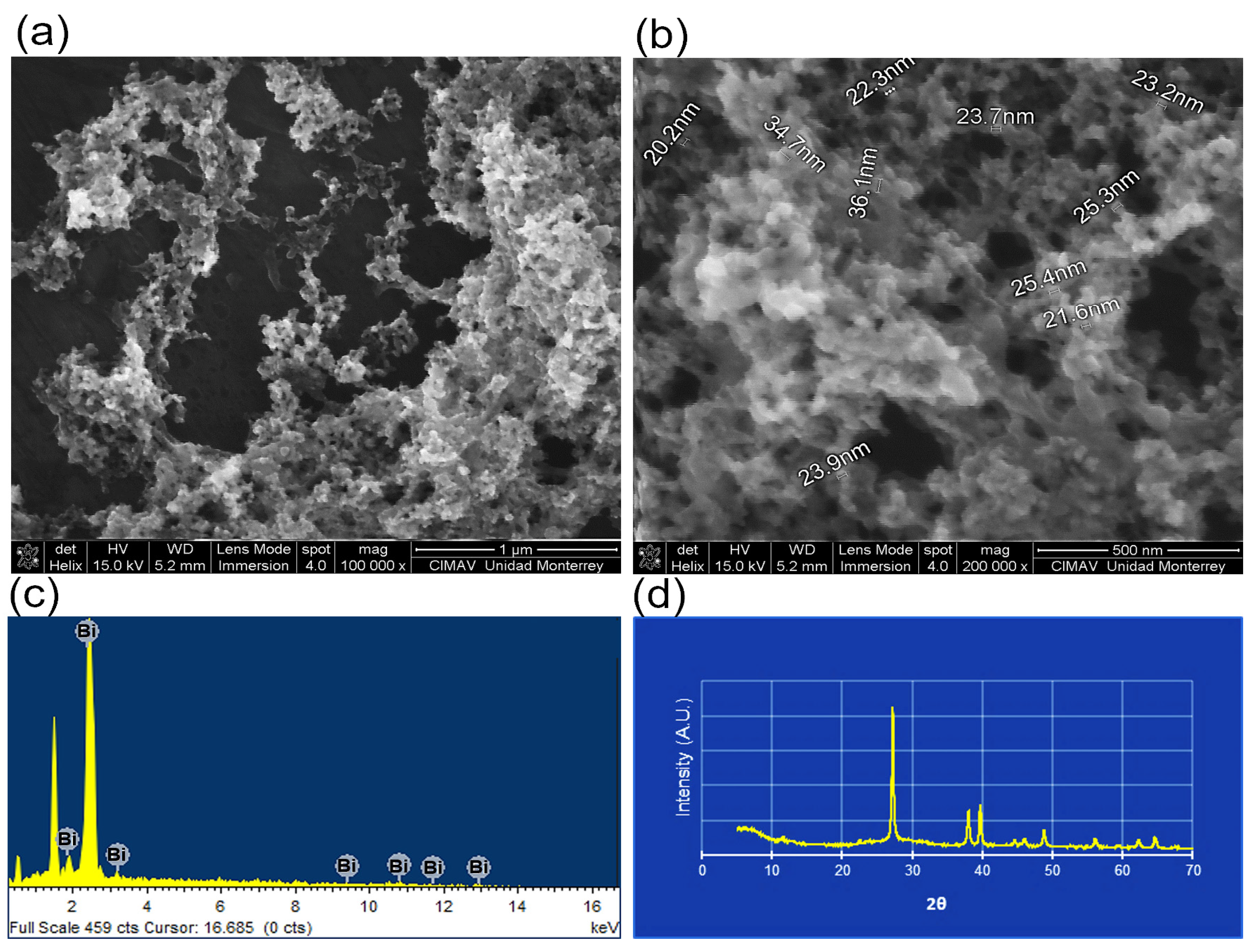 Jfb 15 00206 g001 Jfb 15 00206 g001