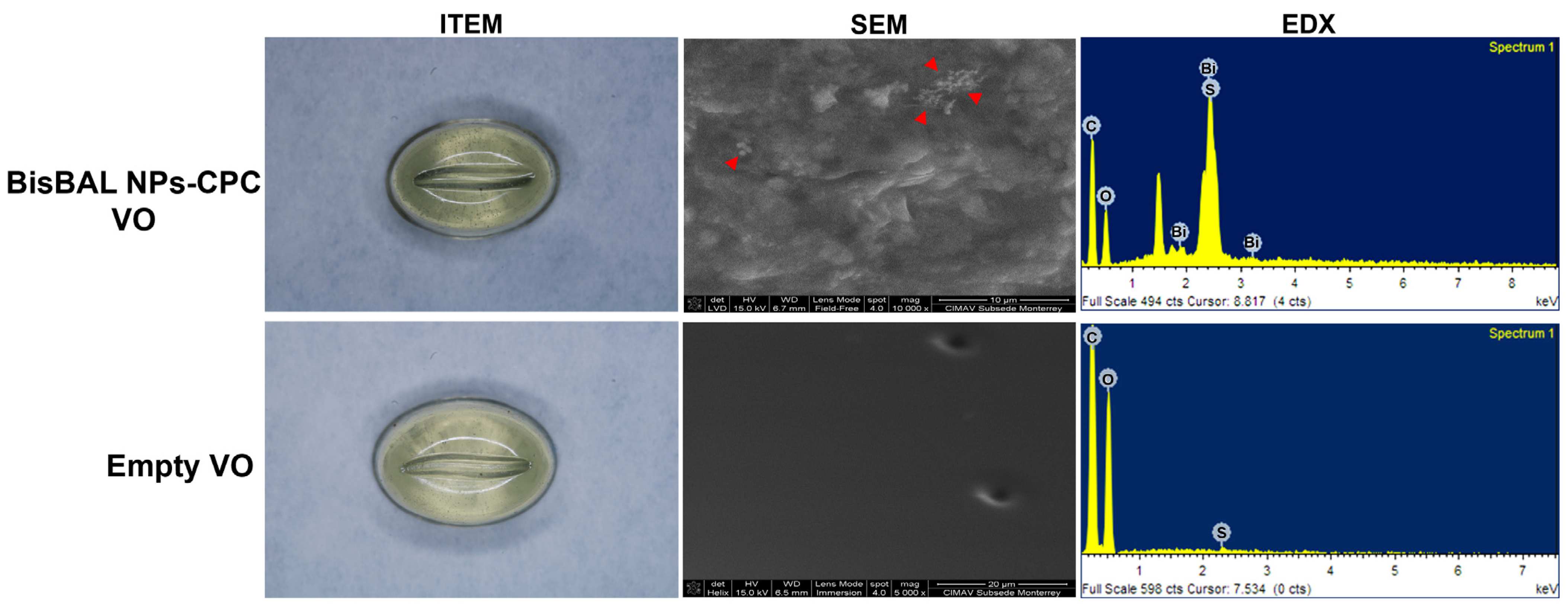 Jfb 15 00206 g003 Jfb 15 00206 g003