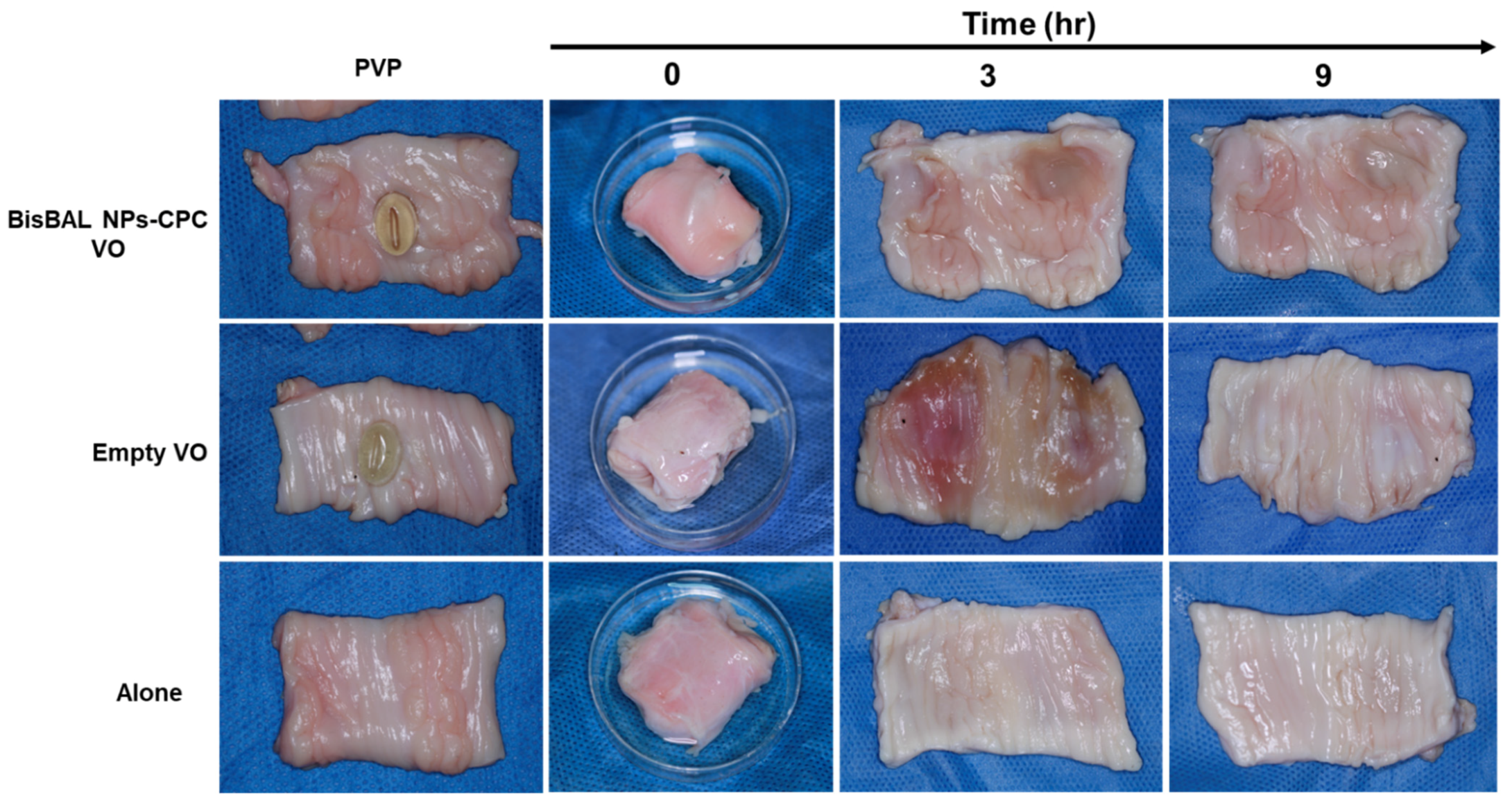 Jfb 15 00206 g007 Jfb 15 00206 g007