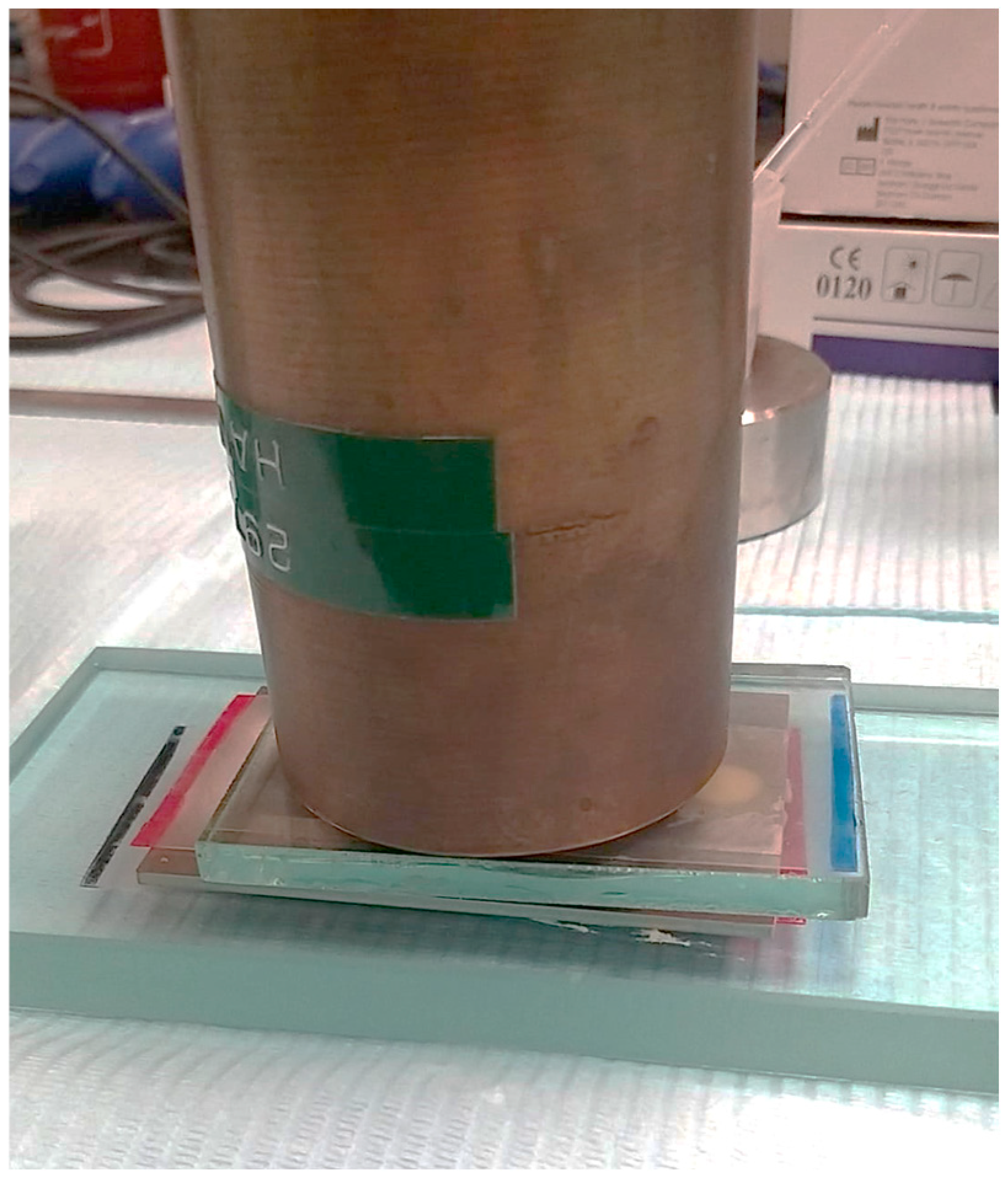 Jfb 15 00256 g002 Jfb 15 00256 g002