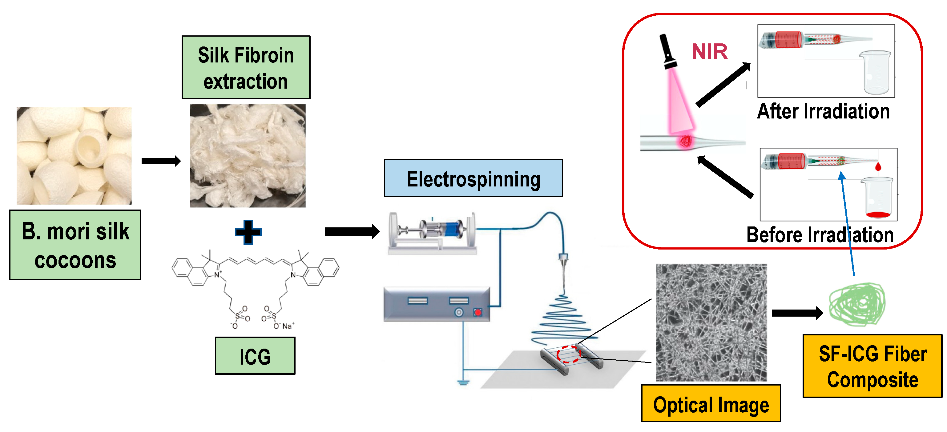 Jfb 15 00272 g001 Jfb 15 00272 g001