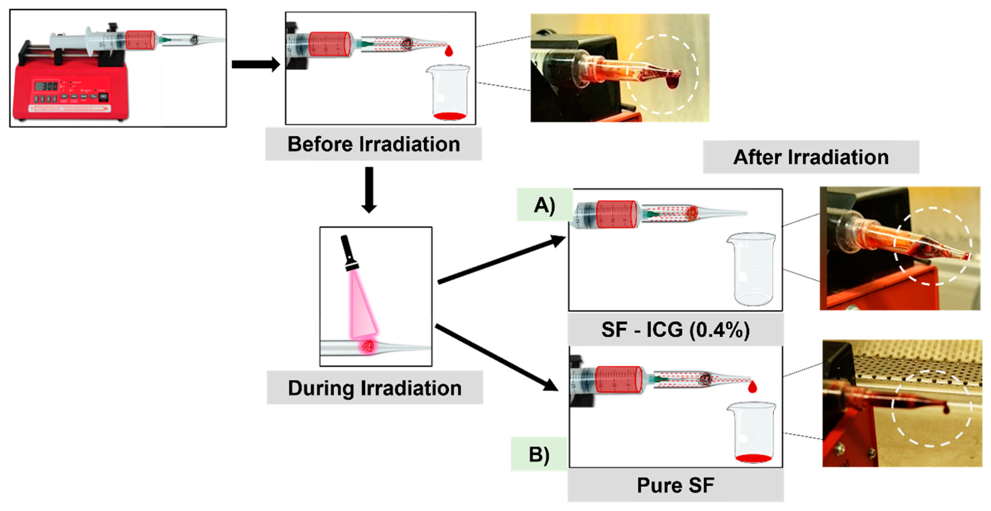 Jfb 15 00272 g008 Jfb 15 00272 g008