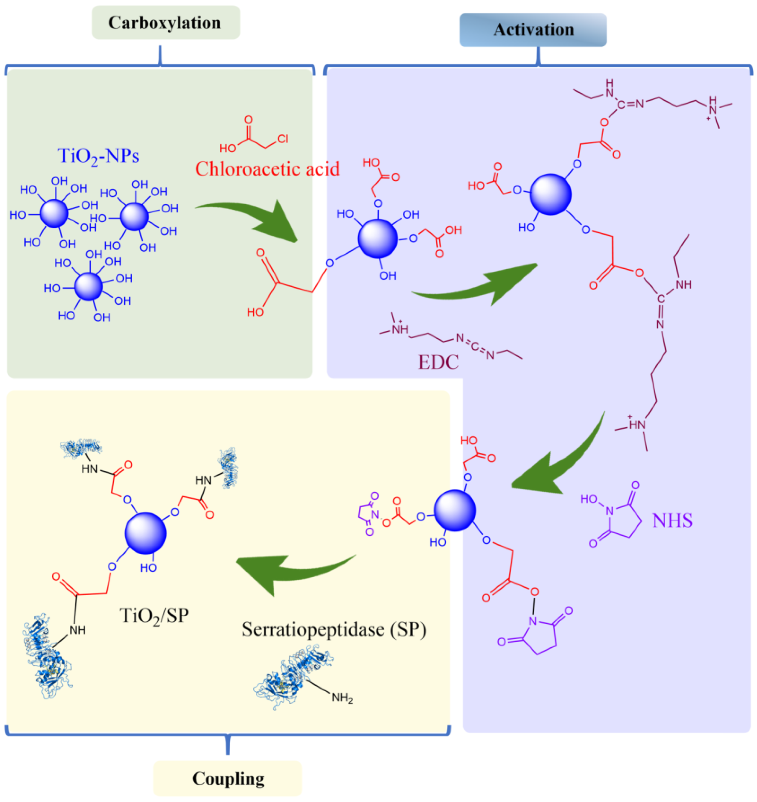 Jfb 15 00300 g005 Jfb 15 00300 g005