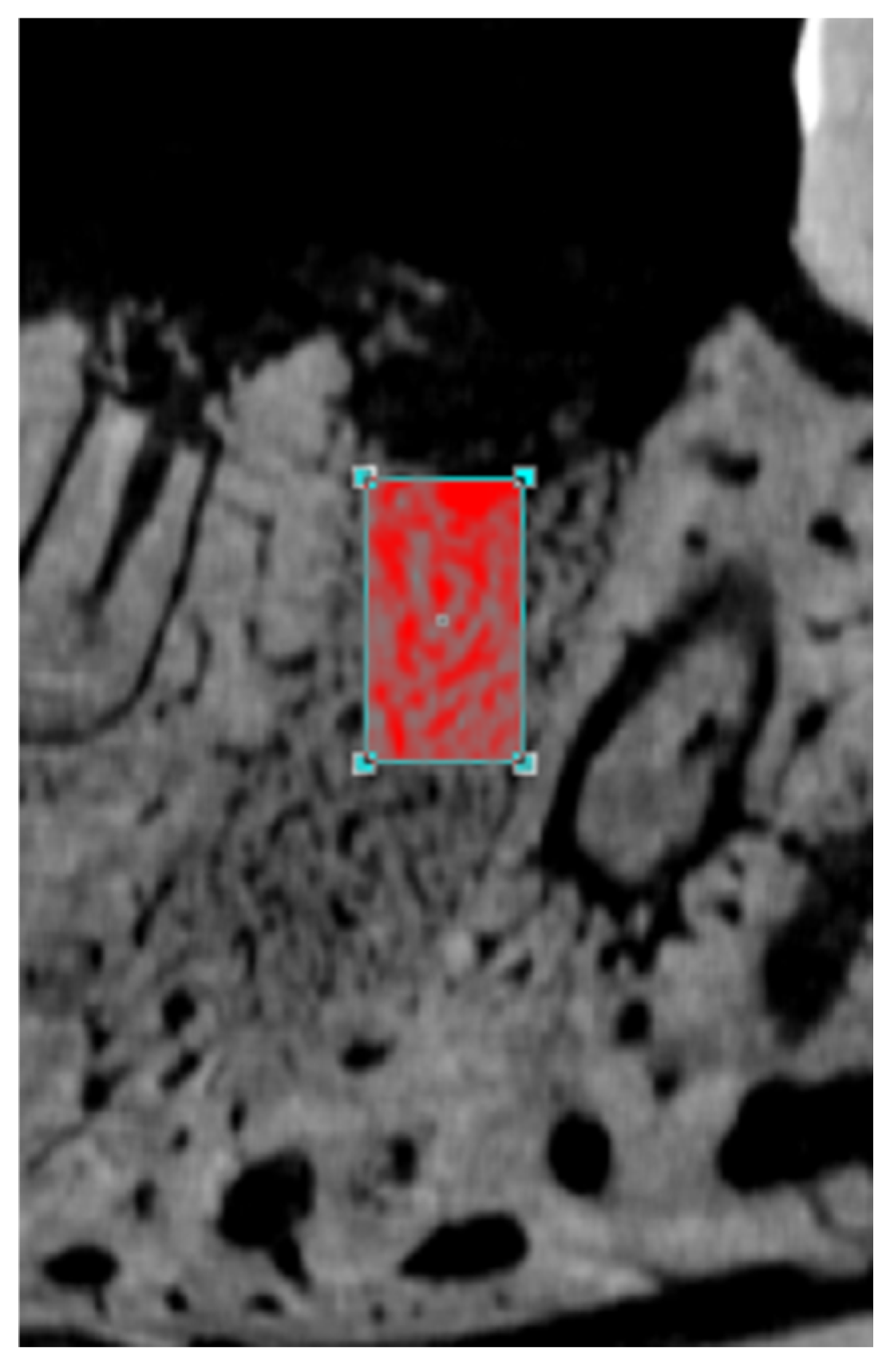 Jfb 15 00353 g002 Jfb 15 00353 g002