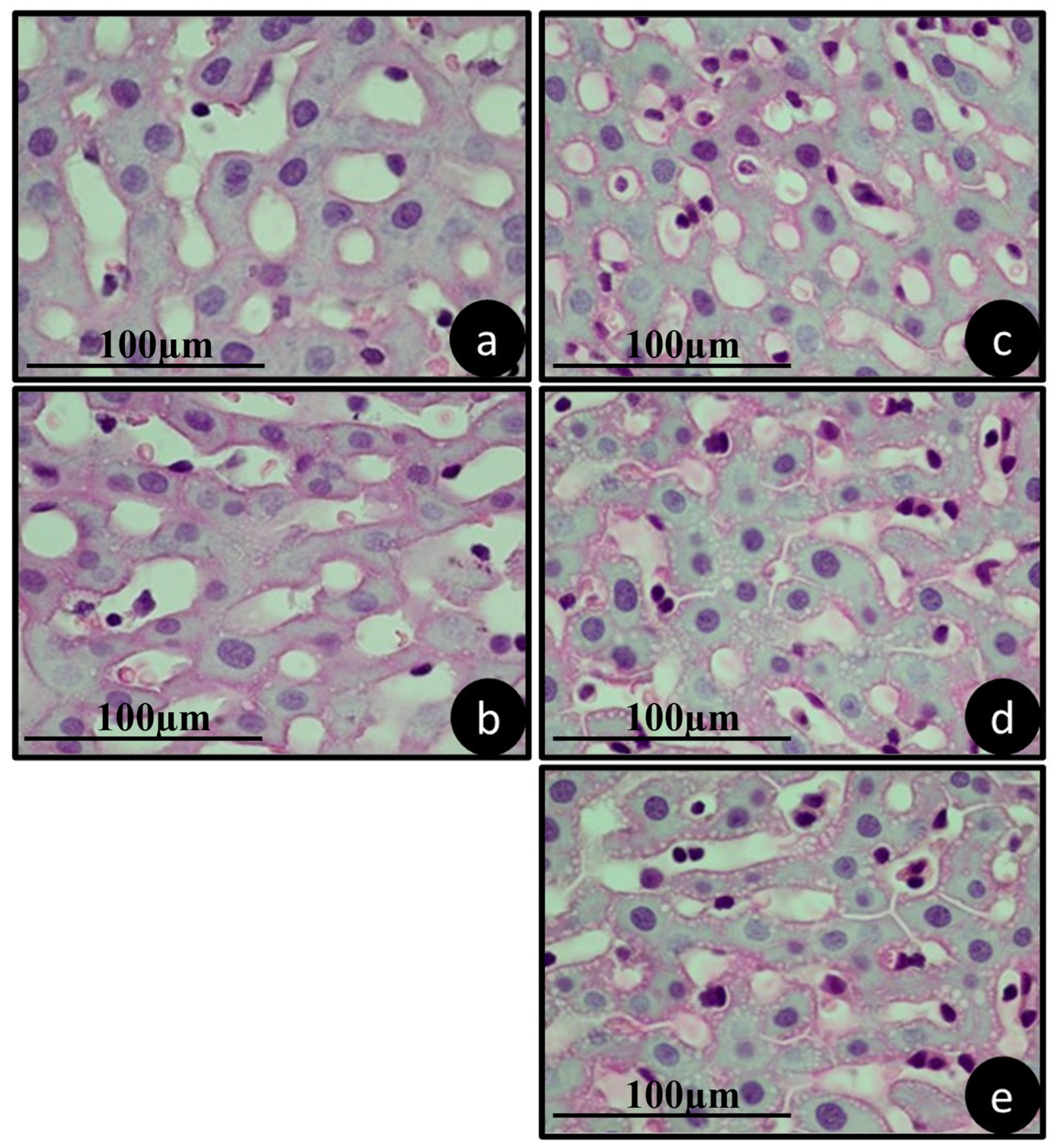 Jfb 15 00353 g006 Jfb 15 00353 g006