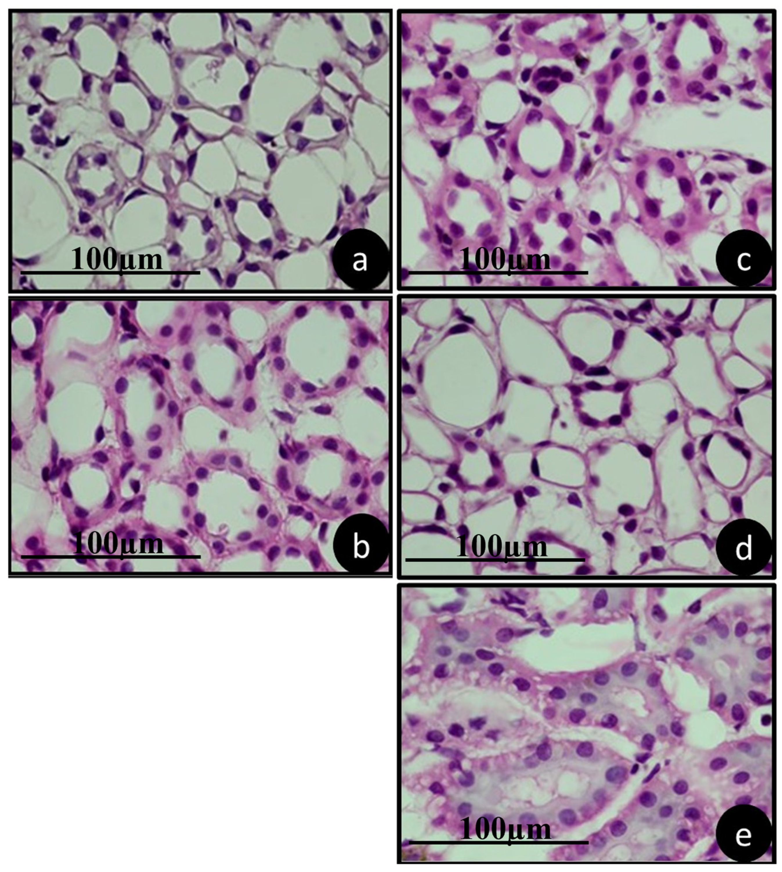 Jfb 15 00353 g008 Jfb 15 00353 g008