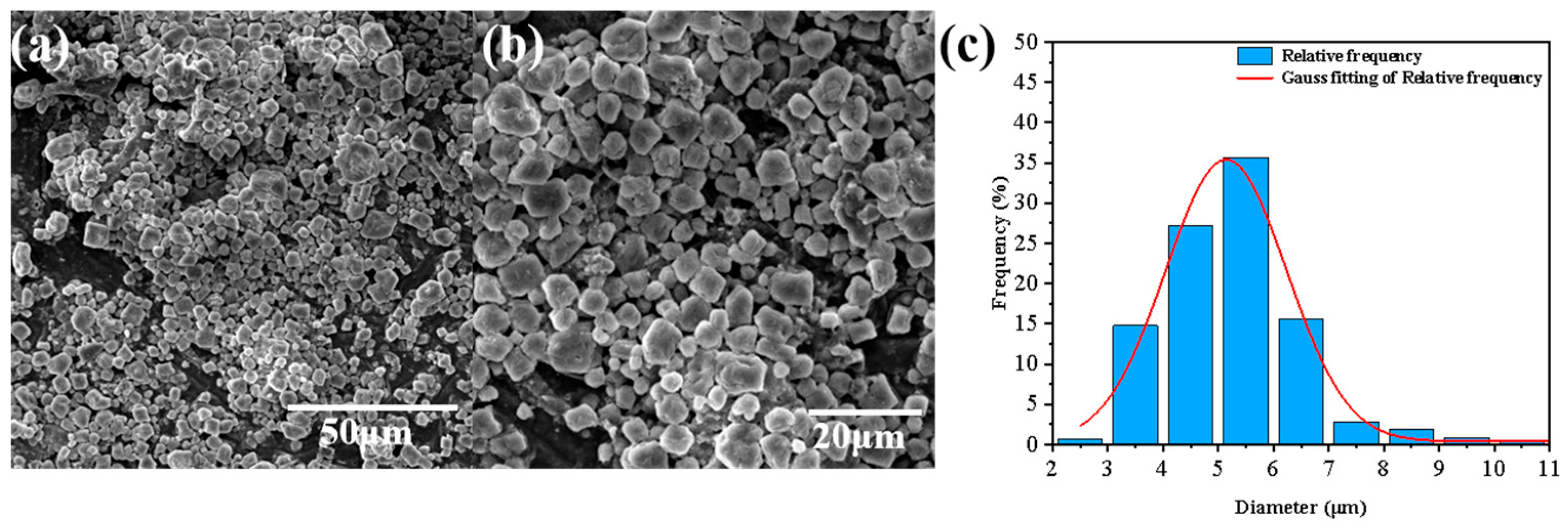 Jfb 16 00287 g003 Jfb 16 00287 g003