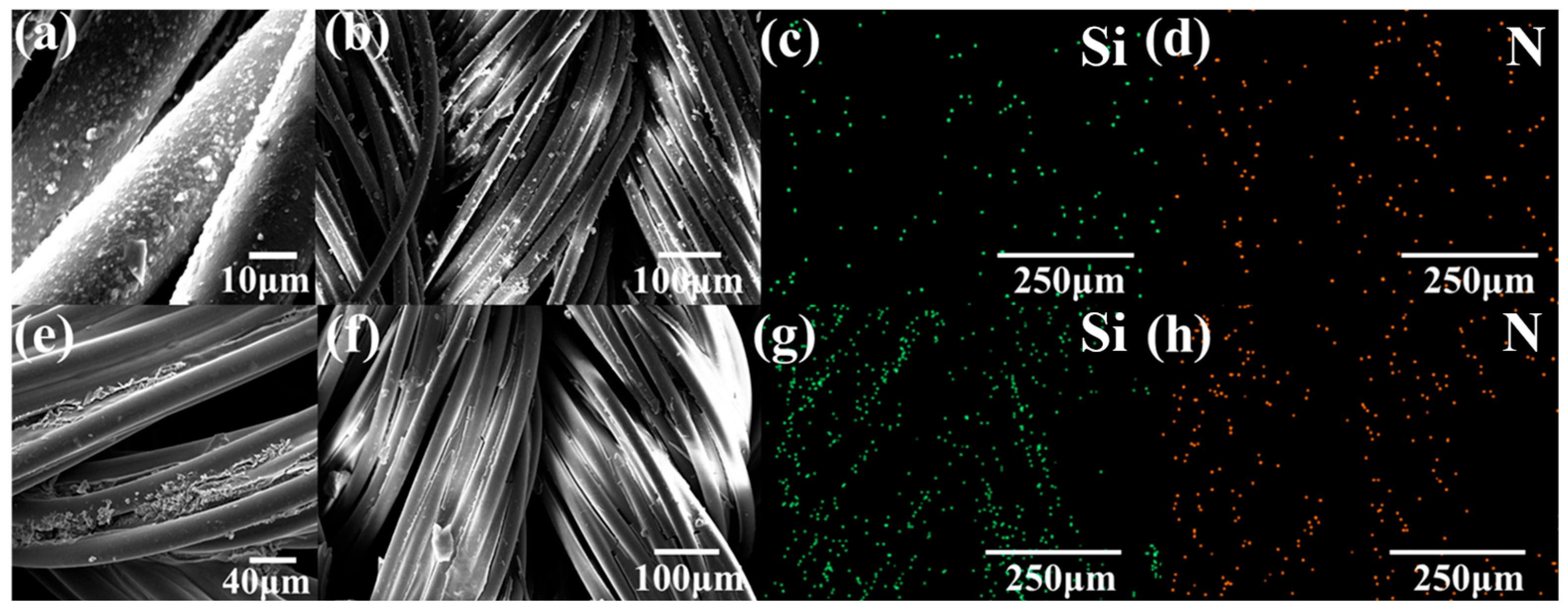 Jfb 16 00287 g005 Jfb 16 00287 g005