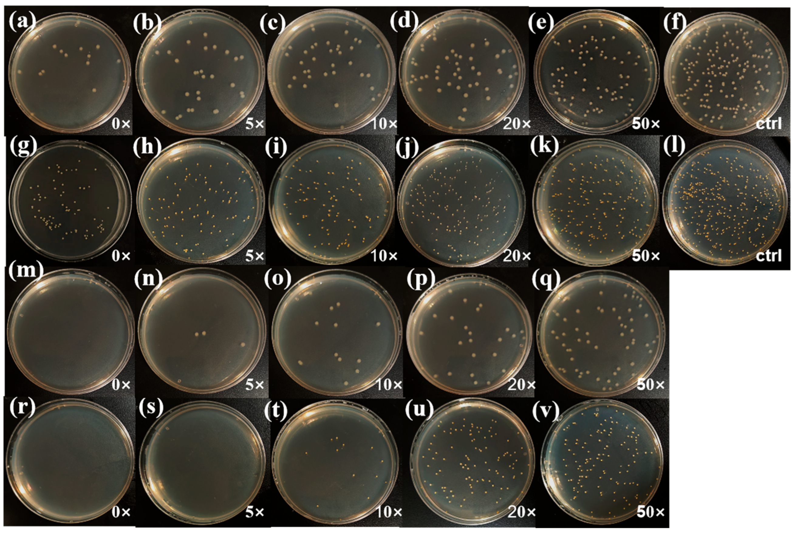 Jfb 16 00287 g008 Jfb 16 00287 g008