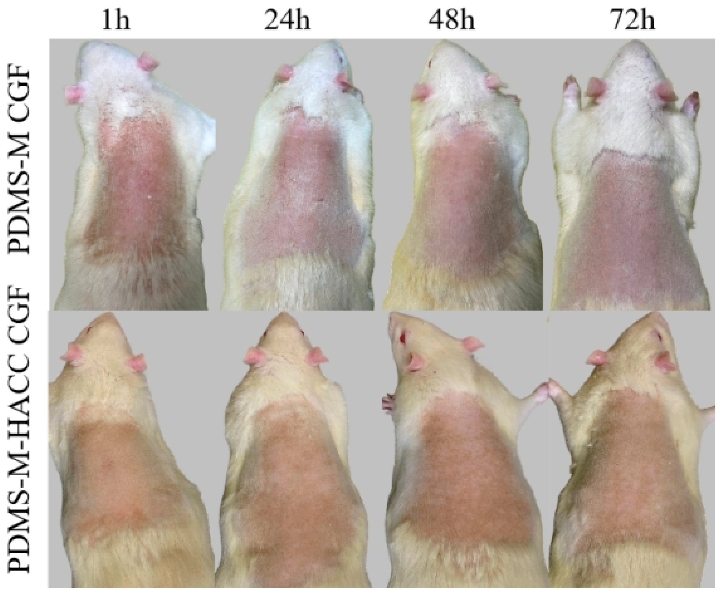 Jfb 16 00287 g012 Jfb 16 00287 g012