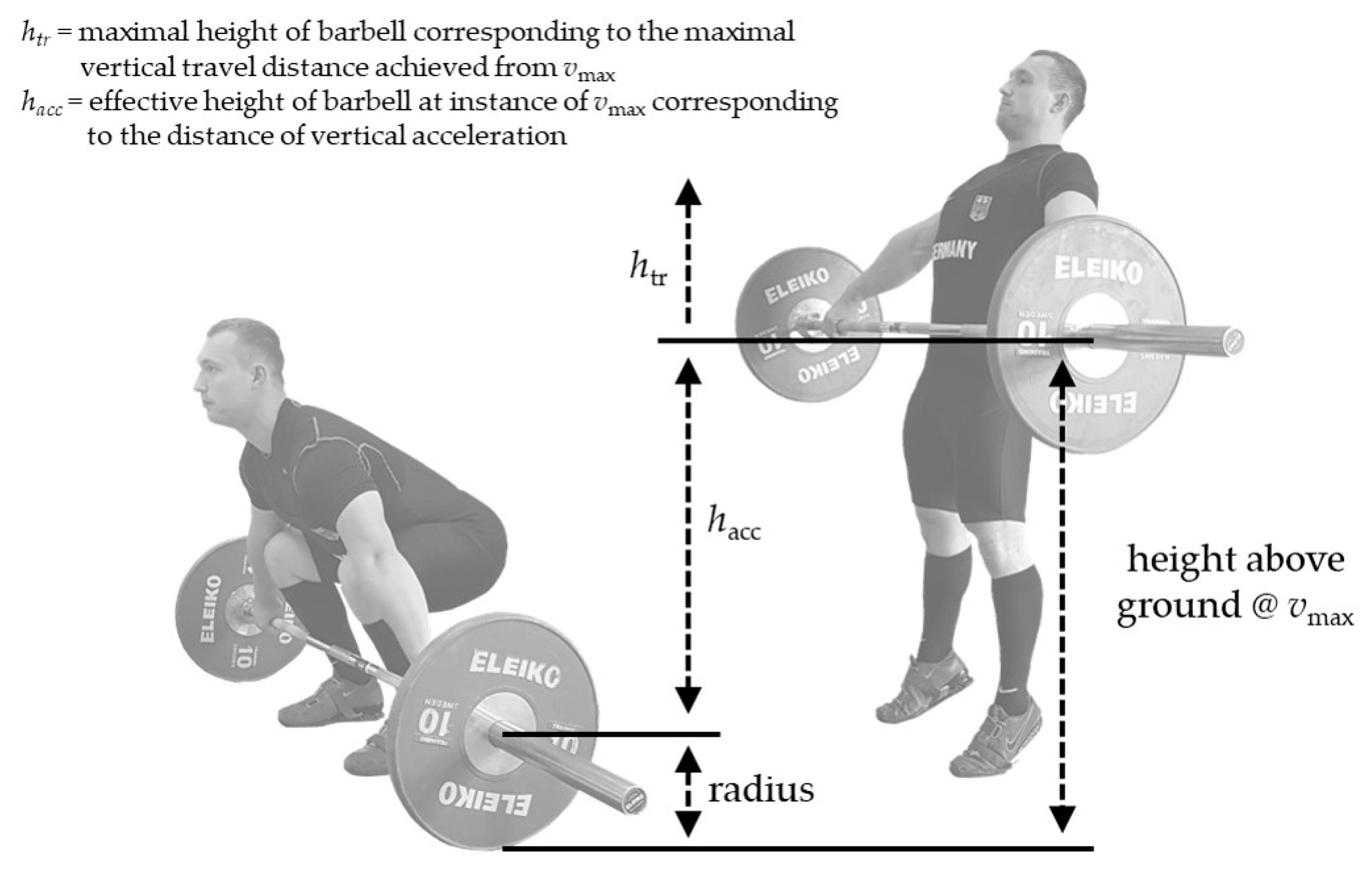 JFMK | Free Full-Text | Predictive Validity of the Snatch Pull  Force-Velocity Profile to Determine the Snatch One Repetition-Maximum in  Male and Female Elite Weightlifters