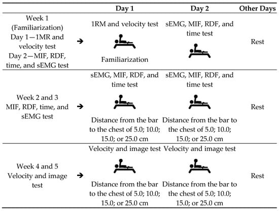 JFMK | Free Full-Text | Evaluation of Strength and Muscle