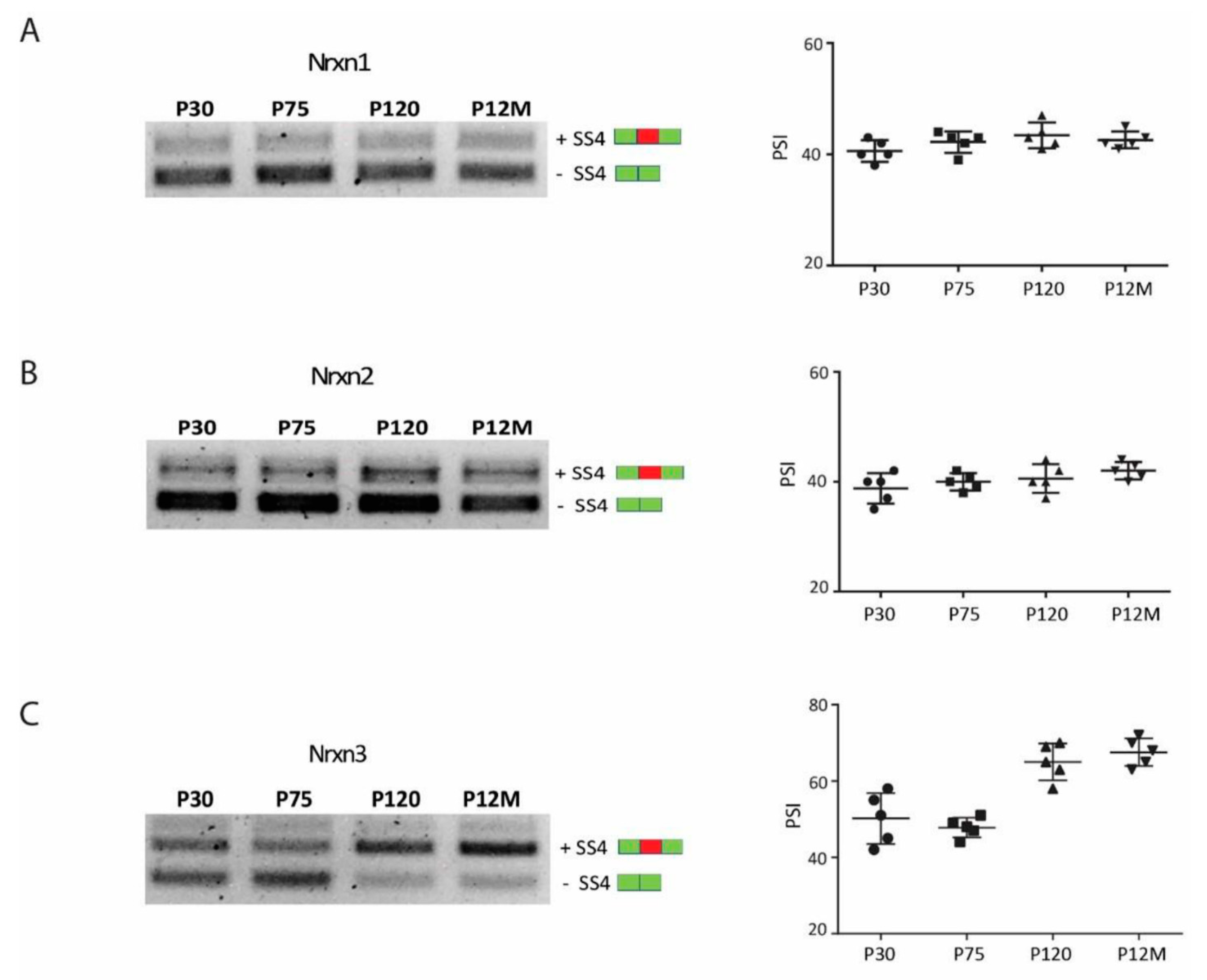 Jfmk 06 00048 g003 Jfmk 06 00048 g003