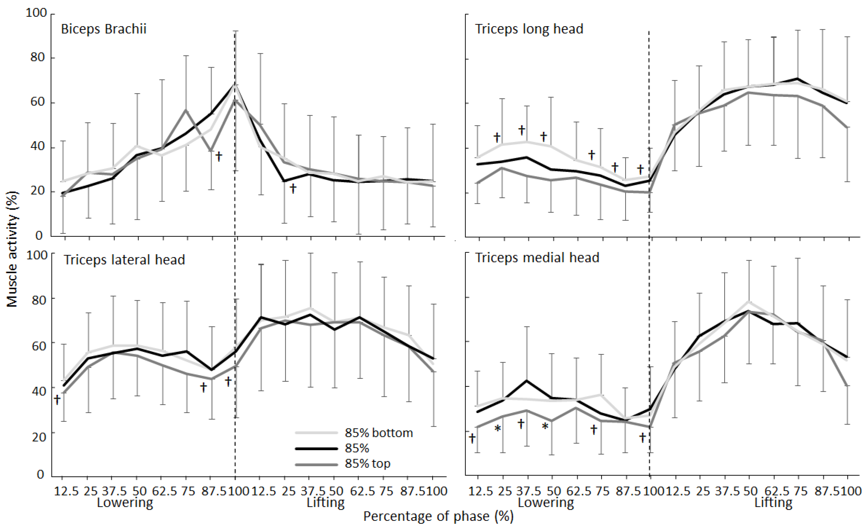 Comparison of Kinematics and Muscle Activation in Free-Weight Back