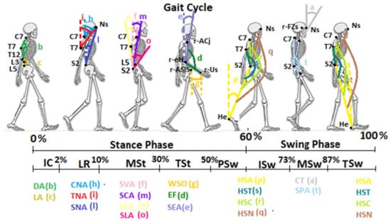 Jfmk Free Full Text Kinematic Evaluation Of The Sagittal Posture During Walking In Healthy