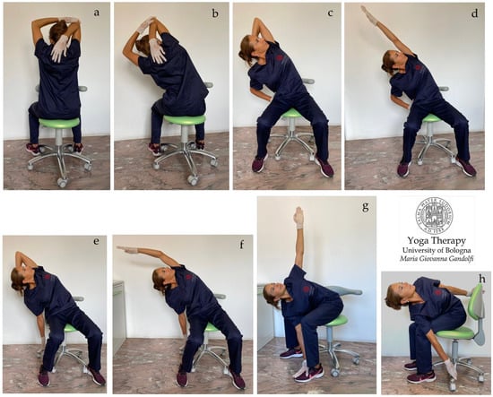 Deep Tension Releasing Exercises by Ashley Miller – TRE® Scotland