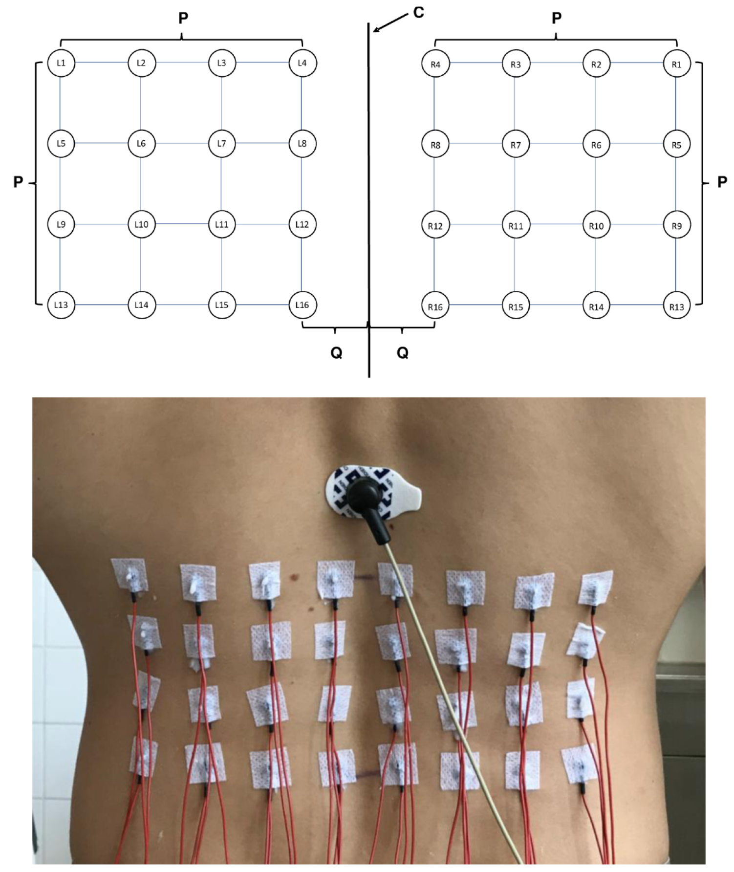 Jfmk 08 00029 g002 Jfmk 08 00029 g002