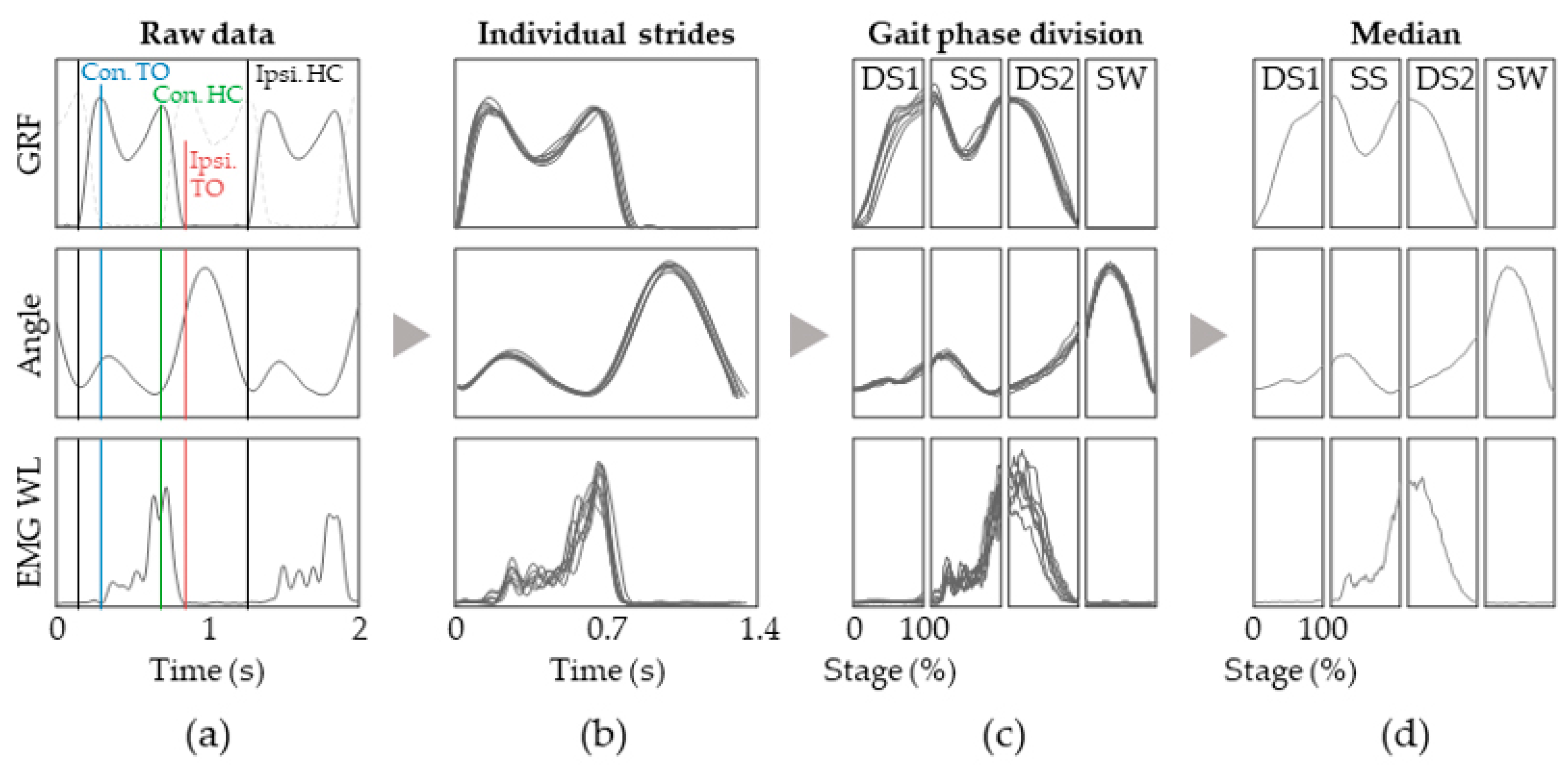 Jfmk 08 00056 g002 Jfmk 08 00056 g002