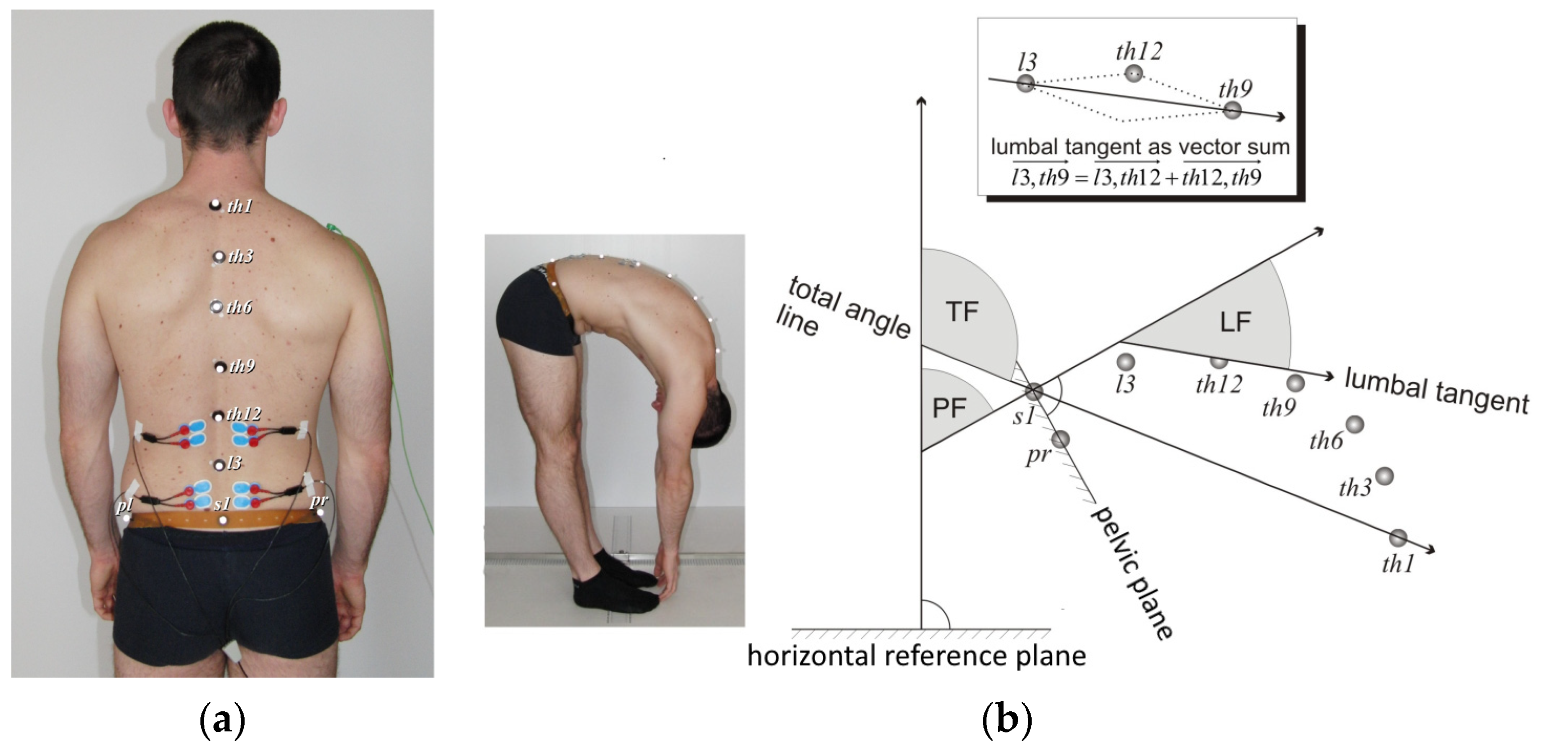 Jfmk 09 00077 g001 Jfmk 09 00077 g001