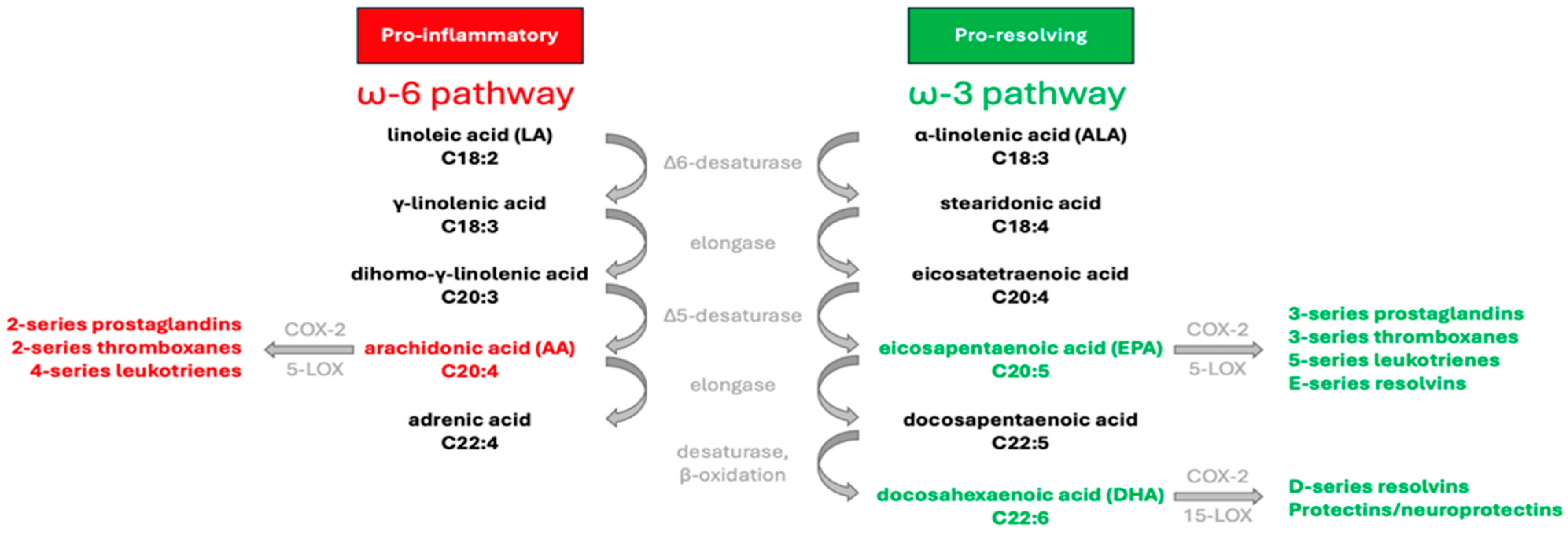 Jfmk 09 00091 g001 Jfmk 09 00091 g001