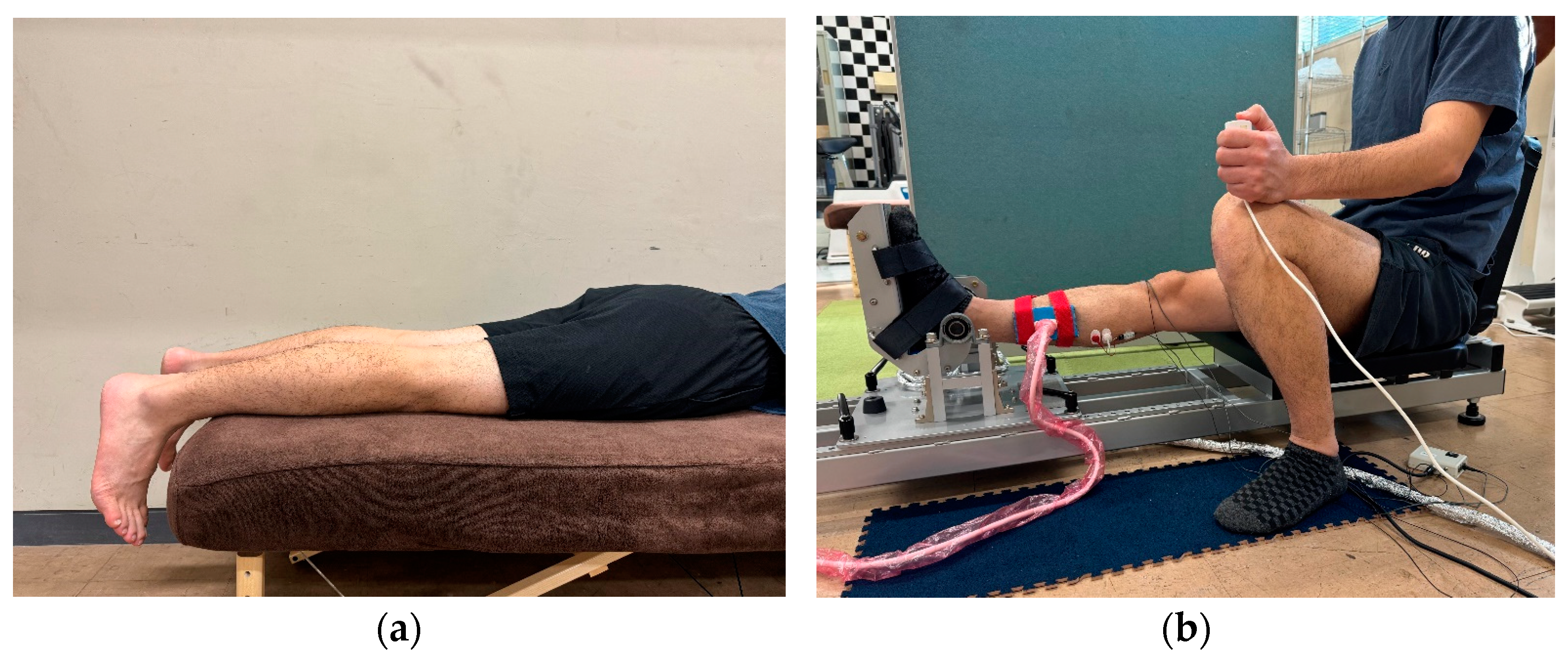 Jfmk 09 00257 g001 Jfmk 09 00257 g001