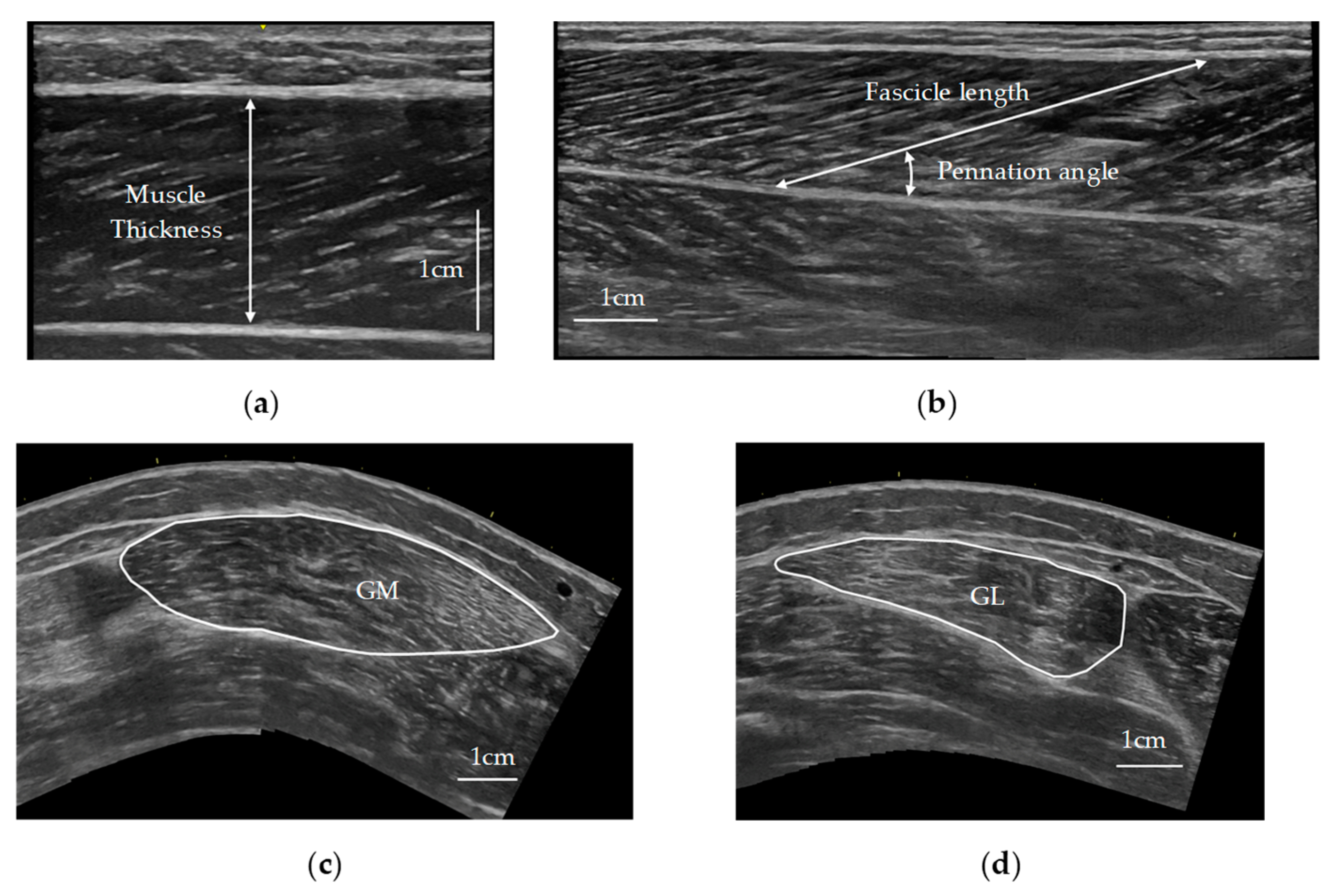 Jfmk 09 00257 g002 Jfmk 09 00257 g002