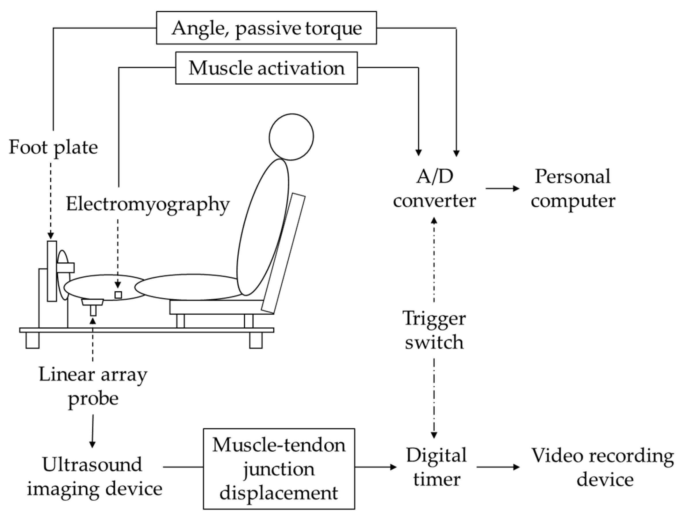 Jfmk 09 00257 g003 Jfmk 09 00257 g003