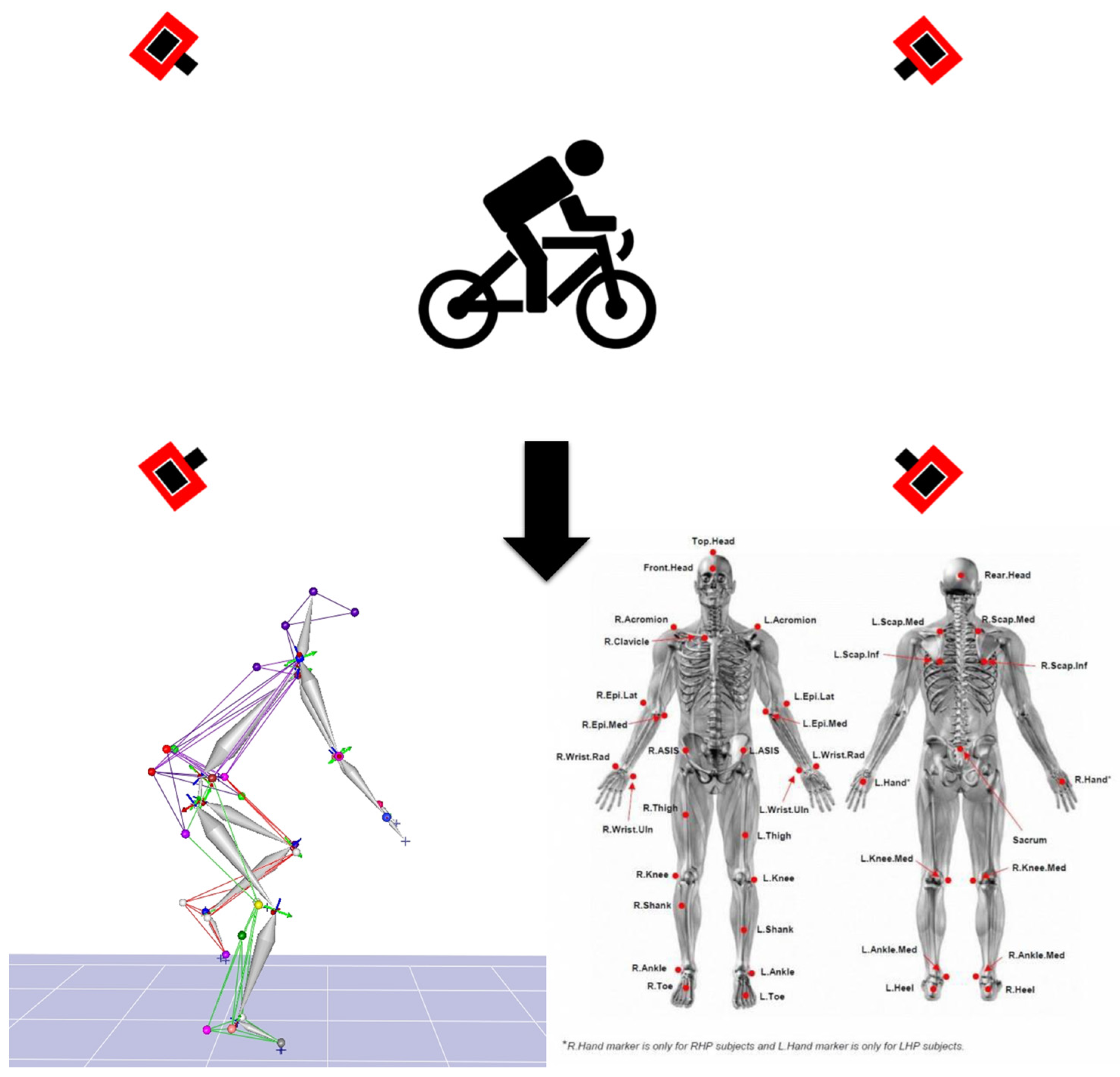 Jfmk 10 00028 g001 Jfmk 10 00028 g001