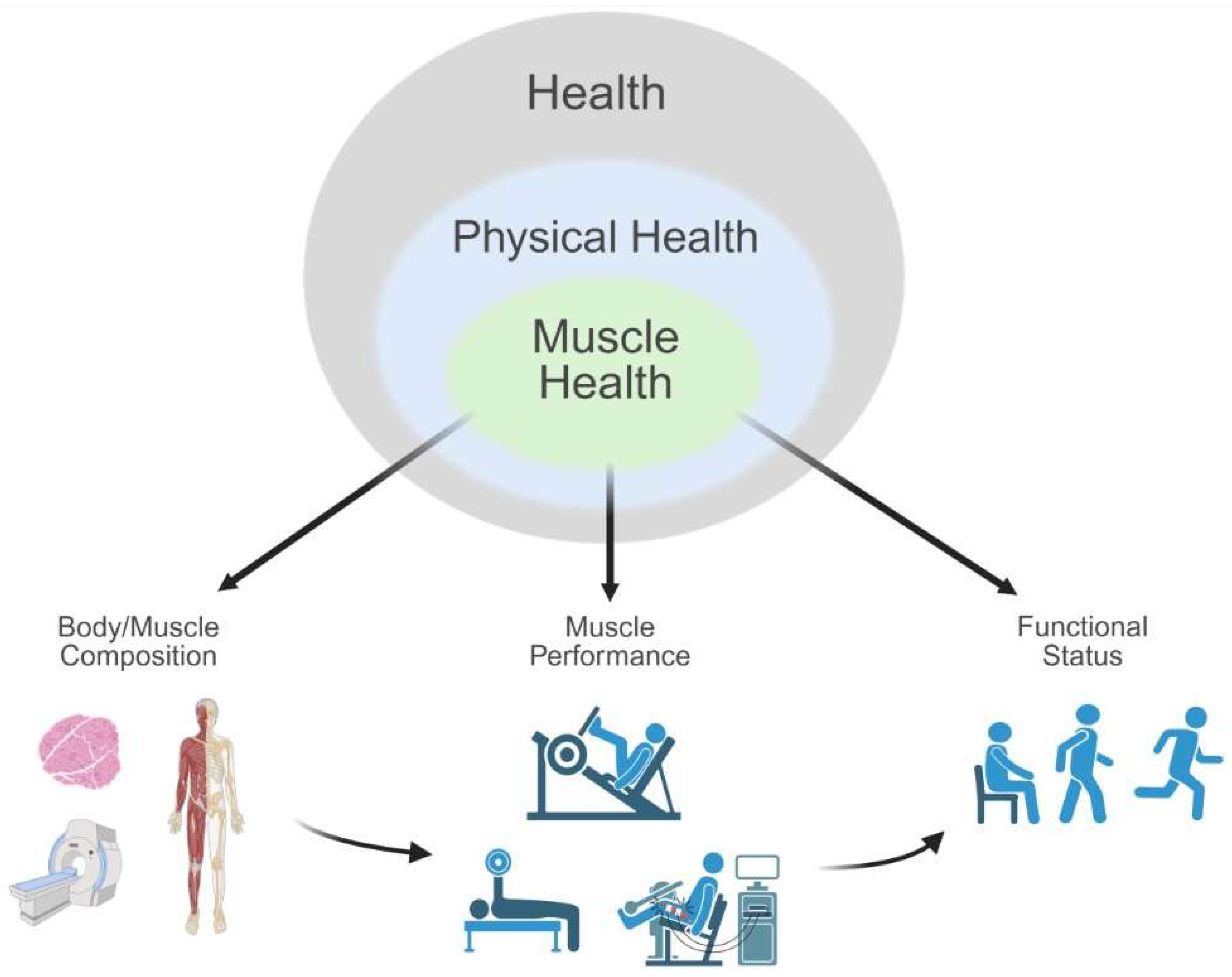 Jfmk 10 00367 g010 Jfmk 10 00367 g010