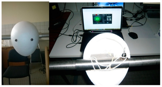 J. Imaging | Free Full-Text | Measuring the Spatial Noise of a Low-Cost Eye  Tracker to Enhance Fixation Detection | HTML