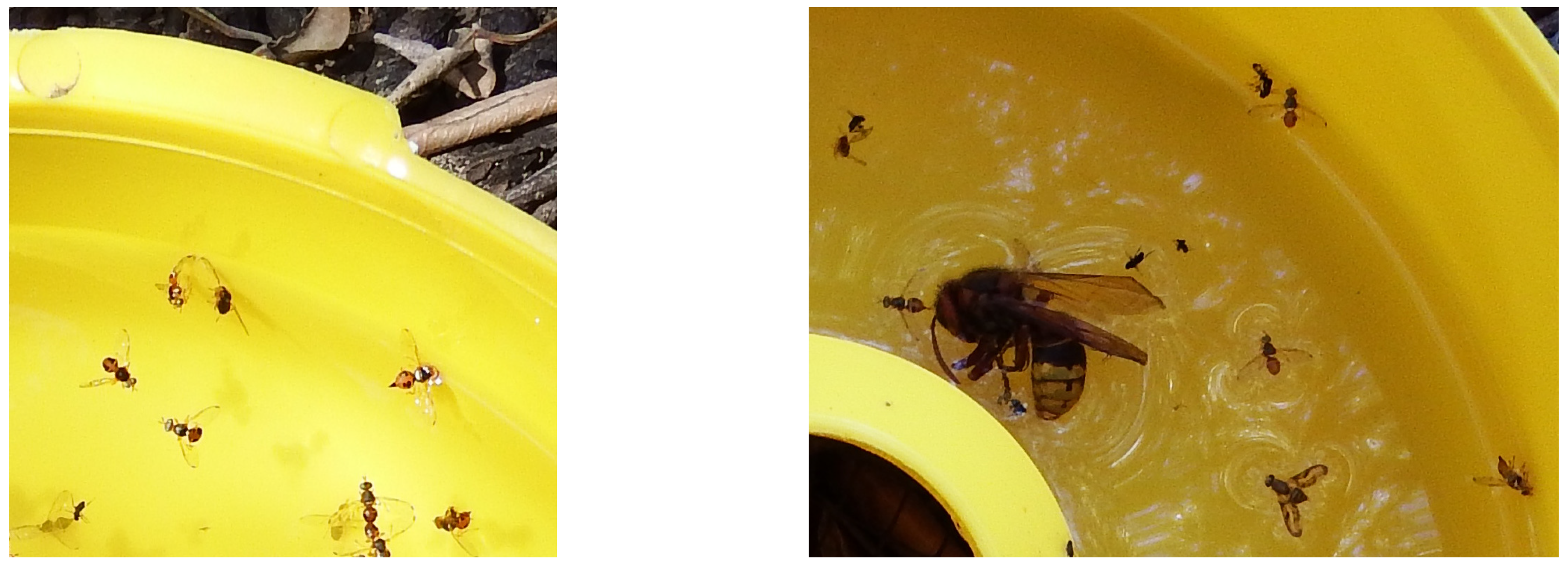 Jimaging 04 00129 g005