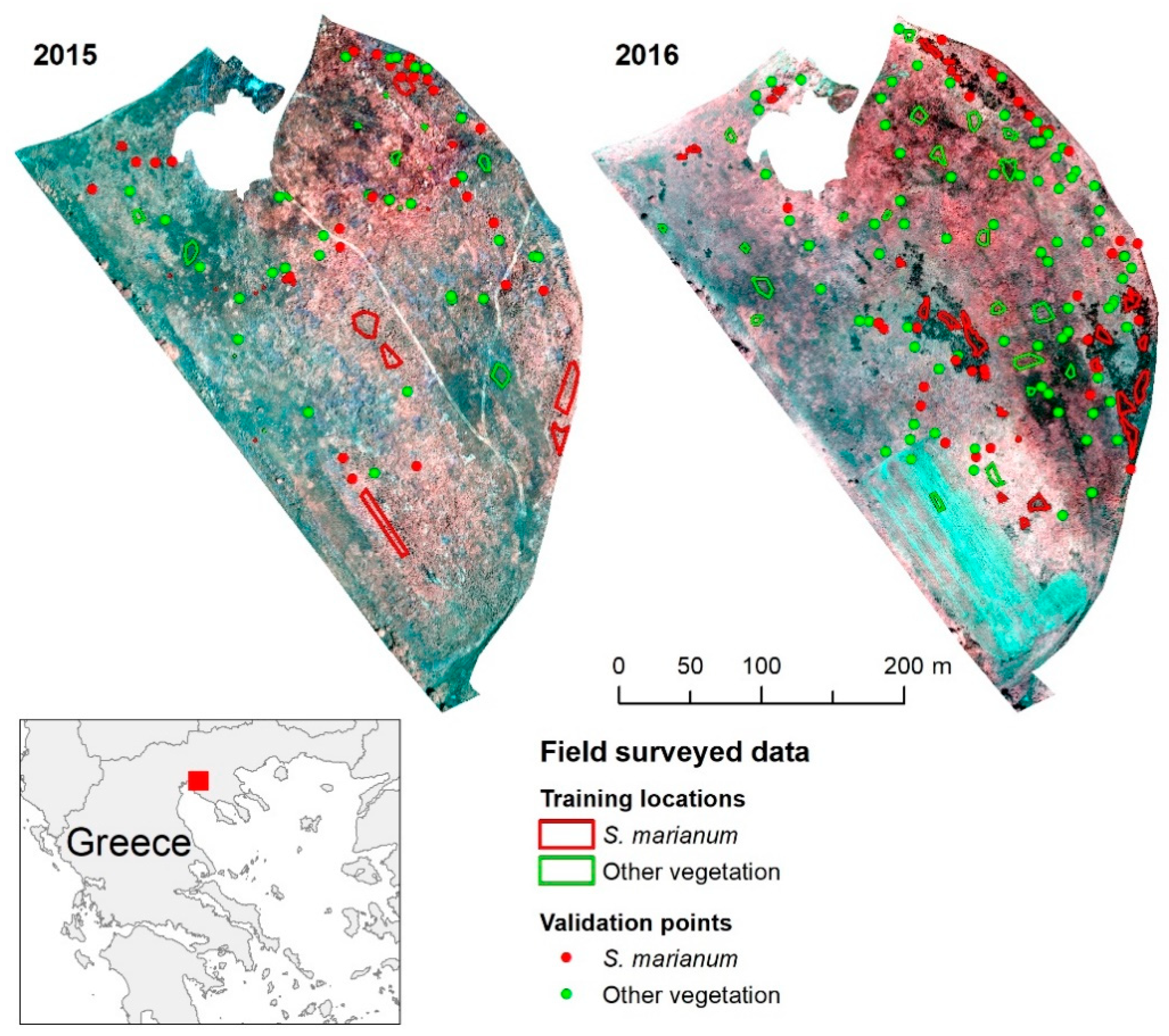 J. Imaging | Free Full-Text | Incorporating Surface Elevation Information  in UAV Multispectral Images for Mapping Weed Patches