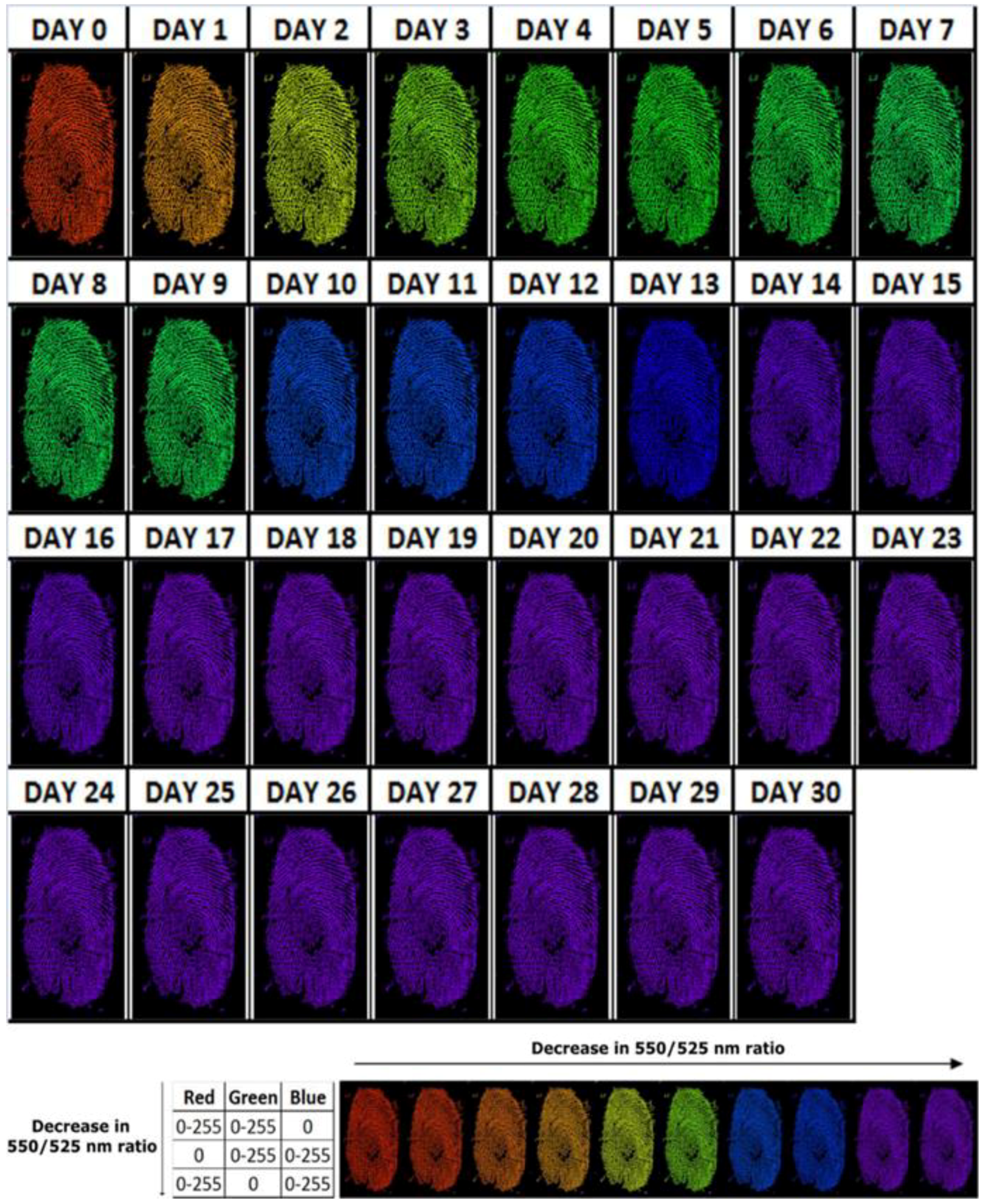 Jimaging 04 00141 g006 Jimaging 04 00141 g006