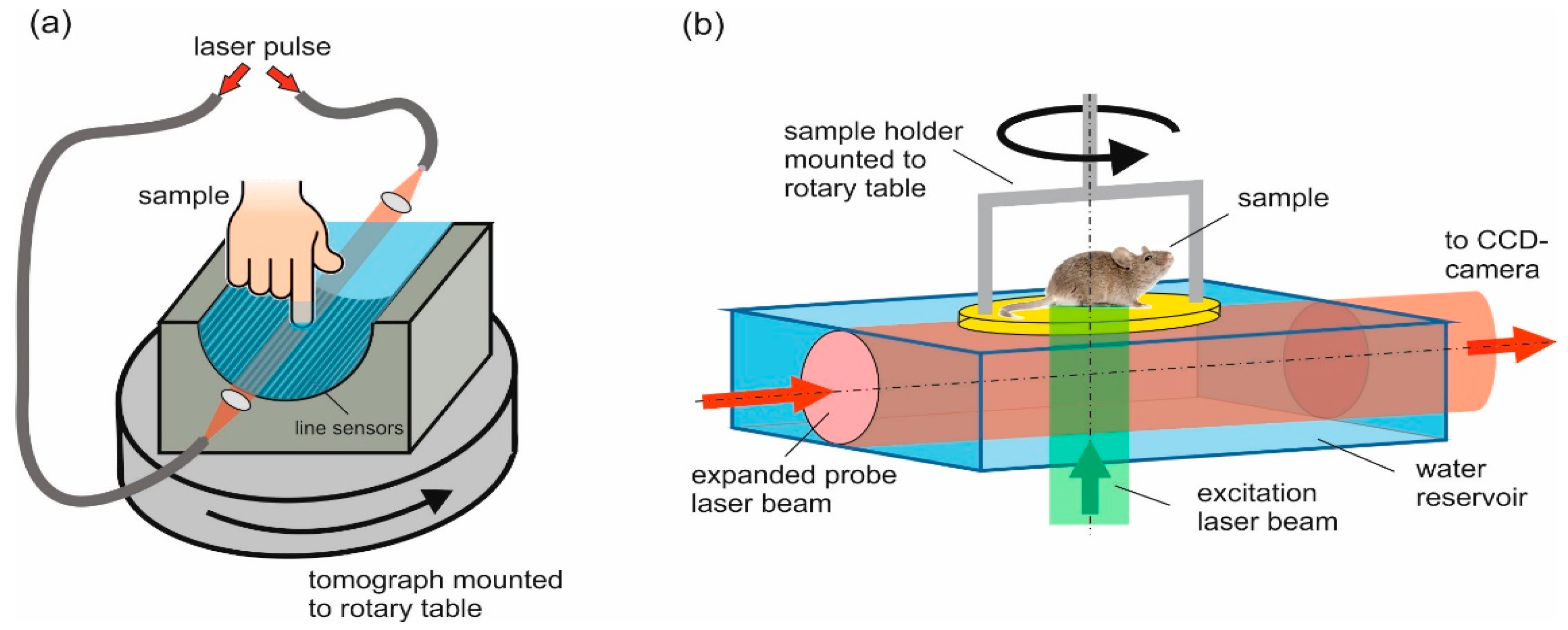 J. Imaging Free FullText Comparison of Piezoelectric and Optical Projection Imaging for