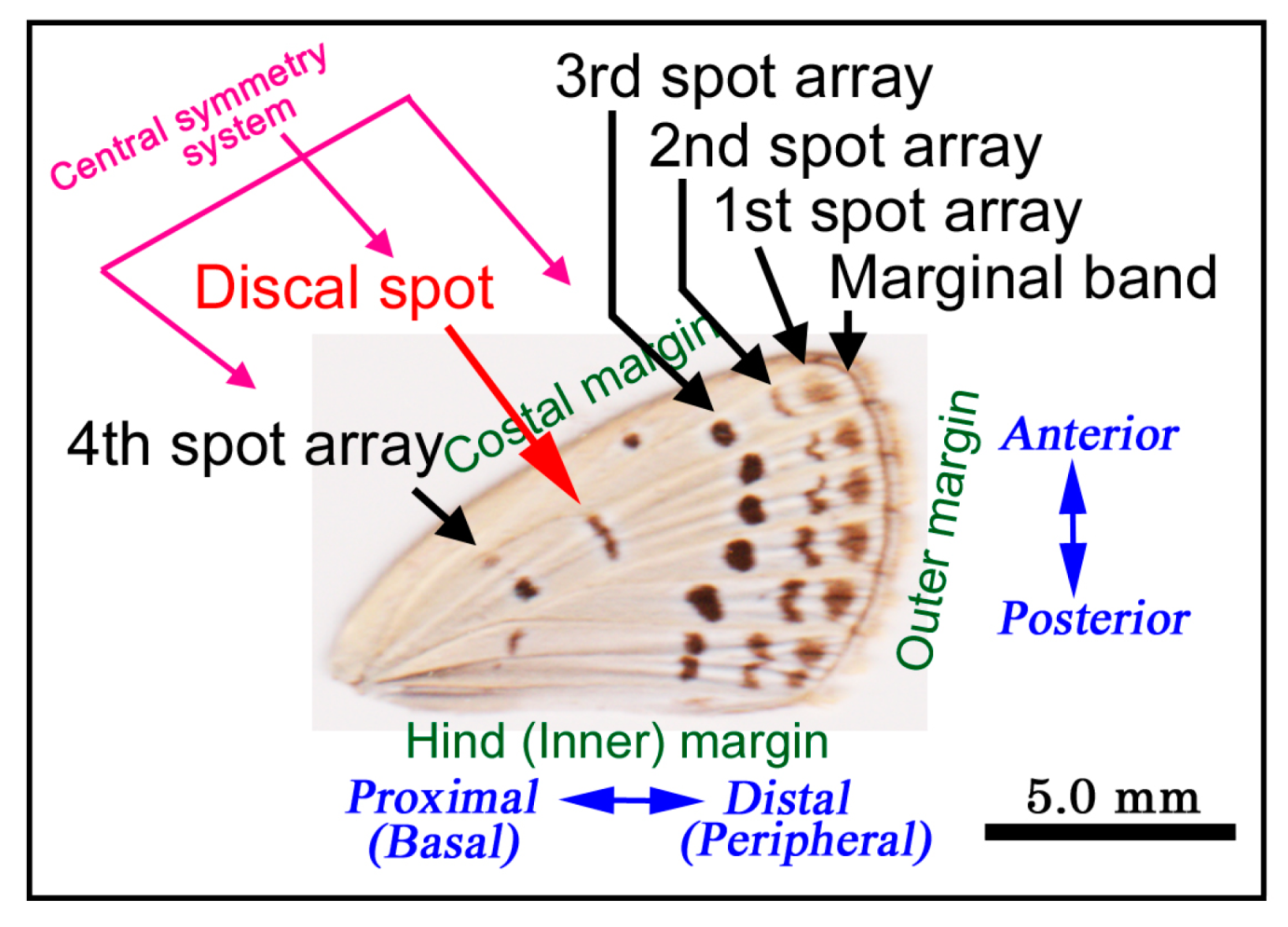 Jimaging 05 00042 g001