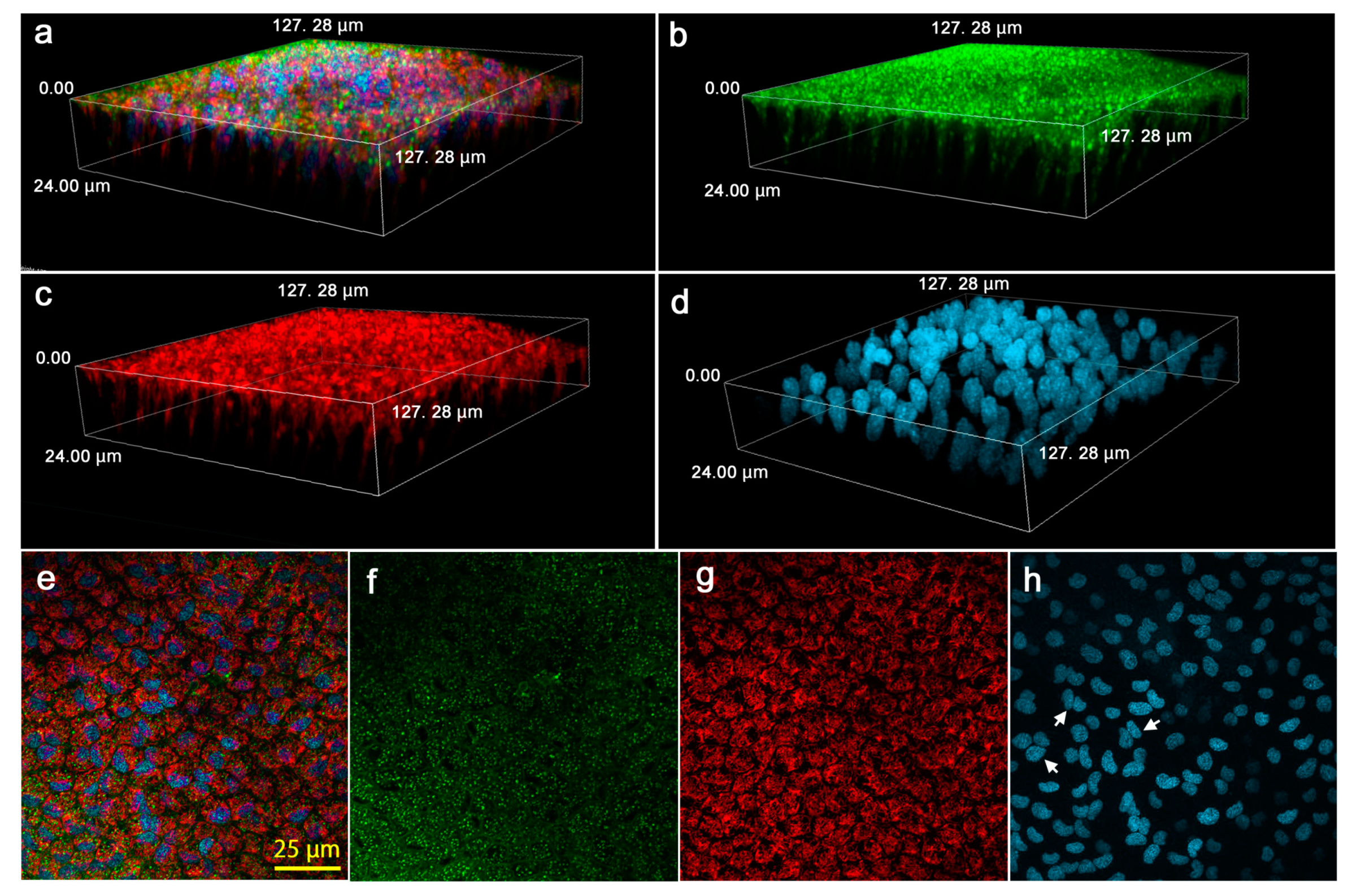 Jimaging 05 00042 g014
