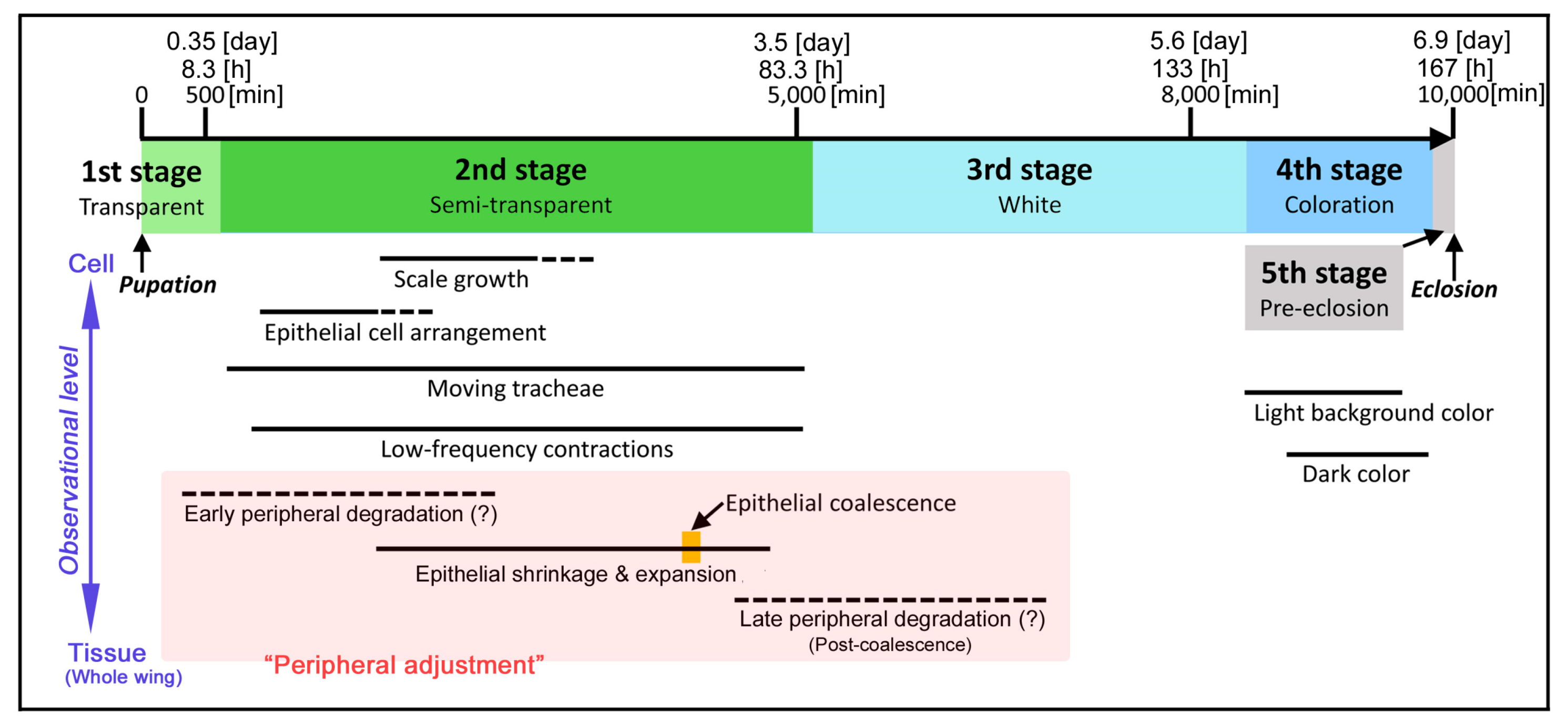 Jimaging 05 00042 g015
