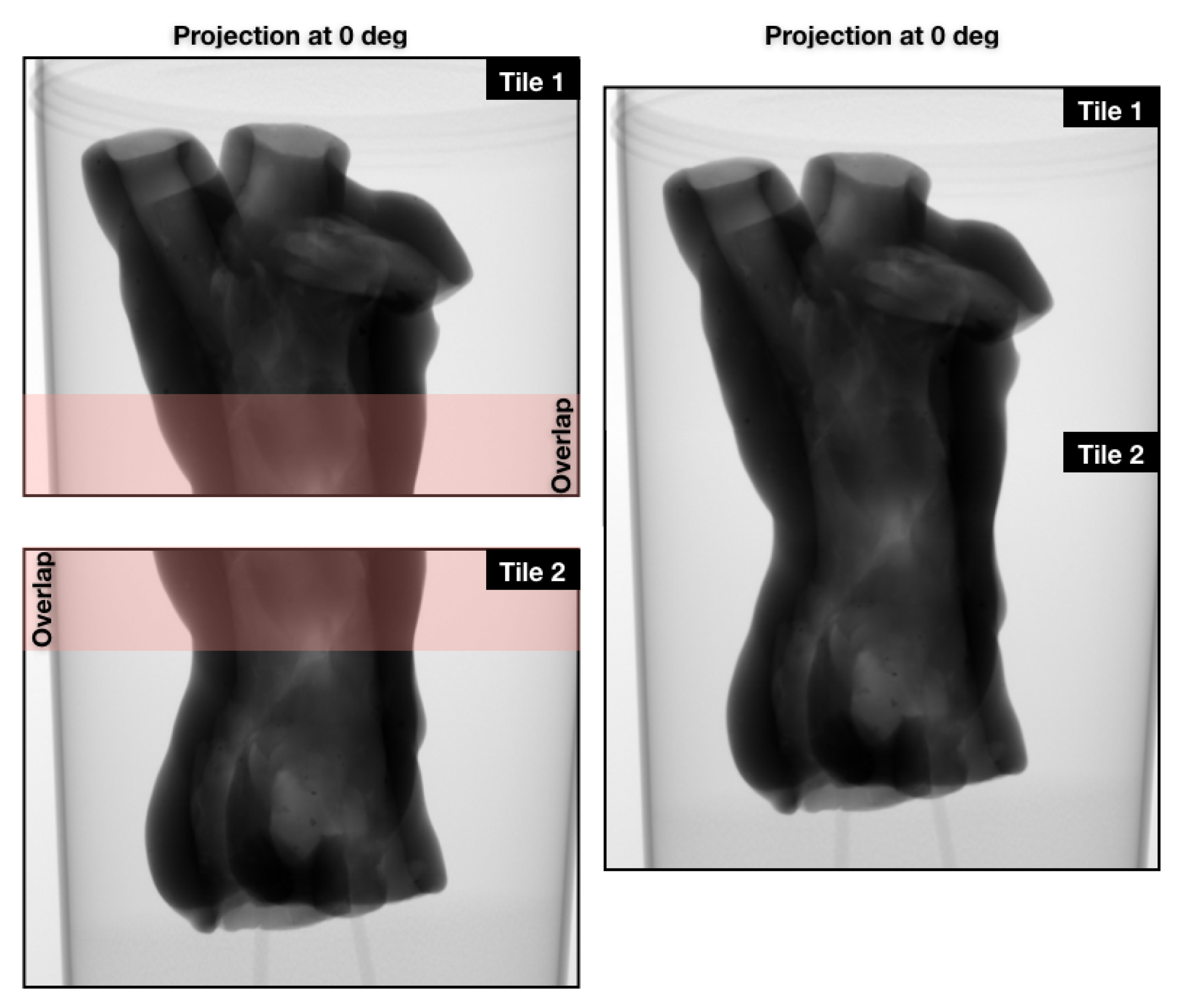 Jimaging 06 00018 g007 Jimaging 06 00018 g007