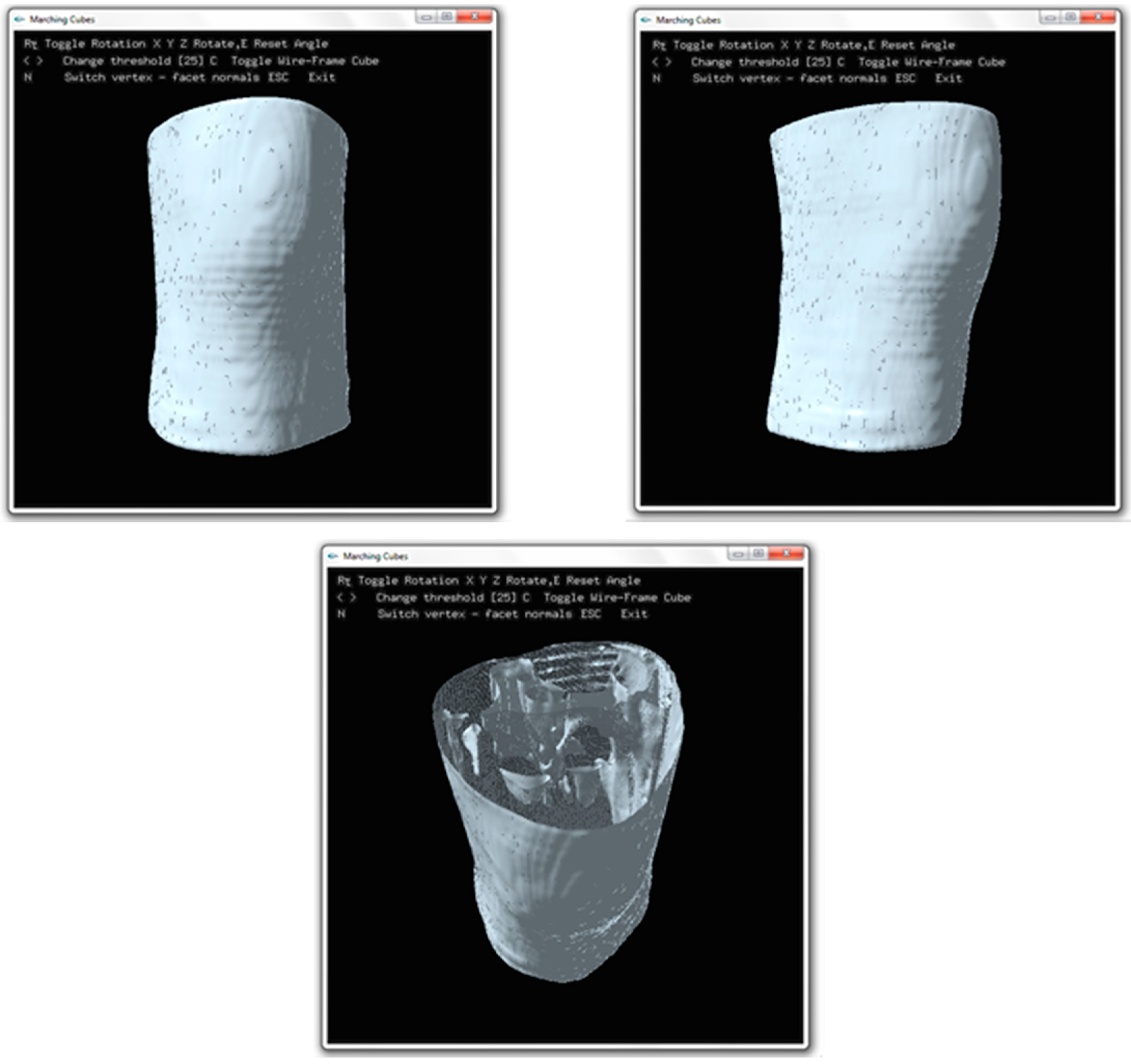 J. Imaging | Free Full-Text | Marching Cubes and Histogram Pyramids for 3D  Medical Visualization