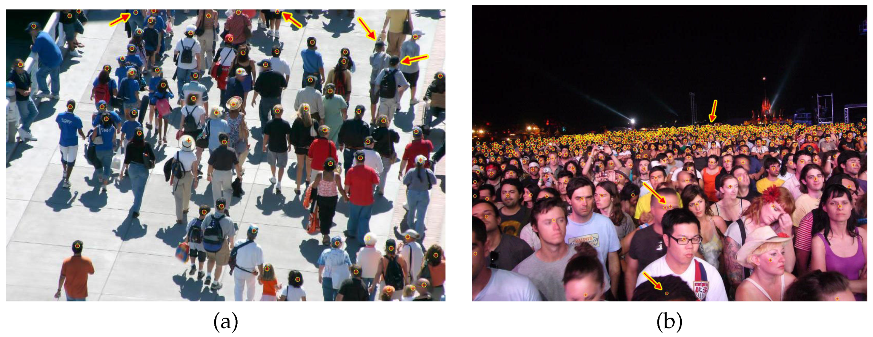 Jimaging 07 00021 g008 Jimaging 07 00021 g008