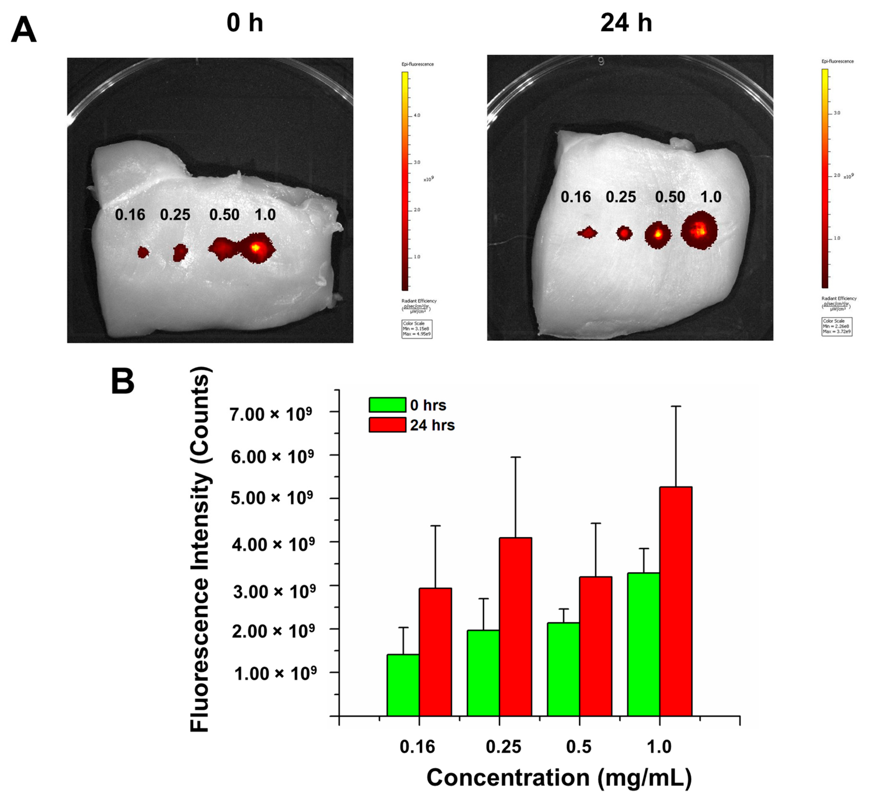 Jimaging 07 00256 g005
