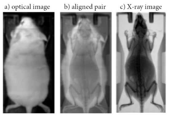 J. Imaging | Free Full-Text | Optical to Planar X-ray Mouse Image Mapping  in Preclinical Nuclear Medicine Using Conditional Adversarial Networks