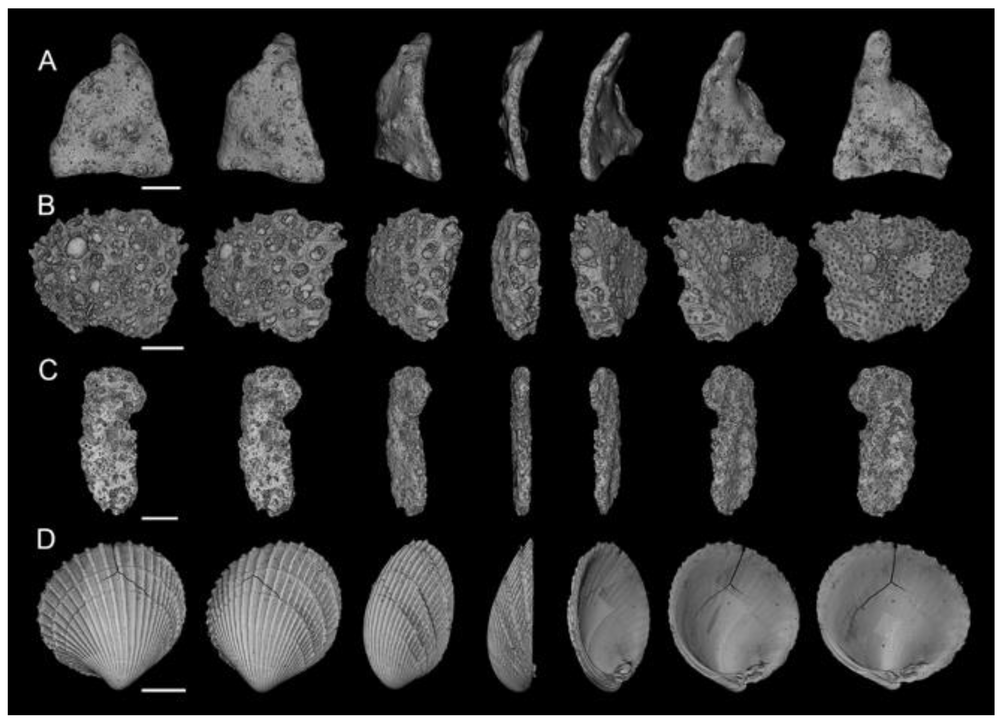 Jimaging 08 00072 g002