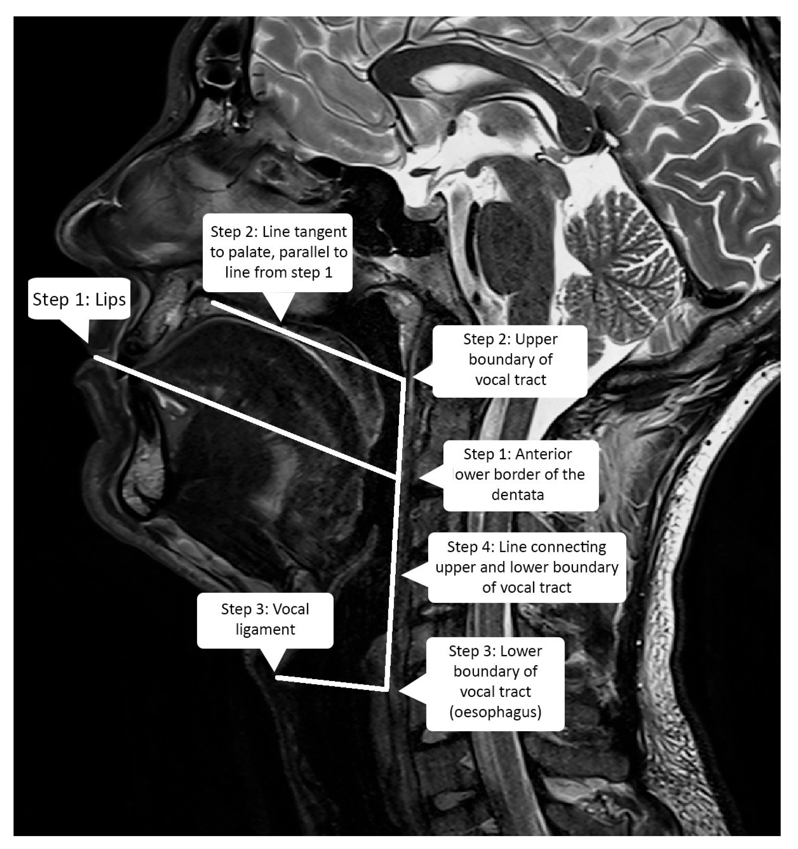 Jimaging 08 00227 g004